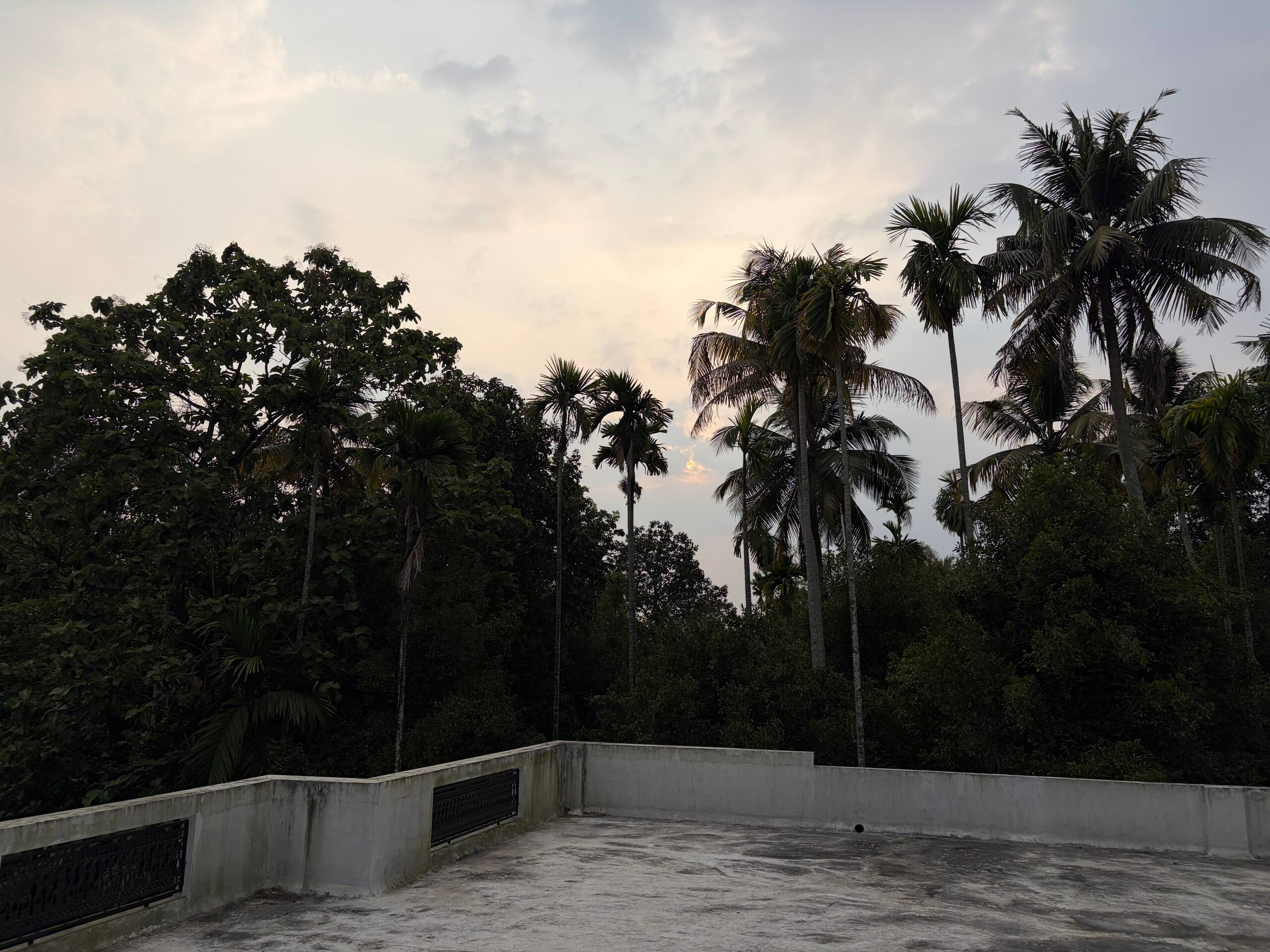 Palm Riverine: Kerala Heritage Retreat 37
