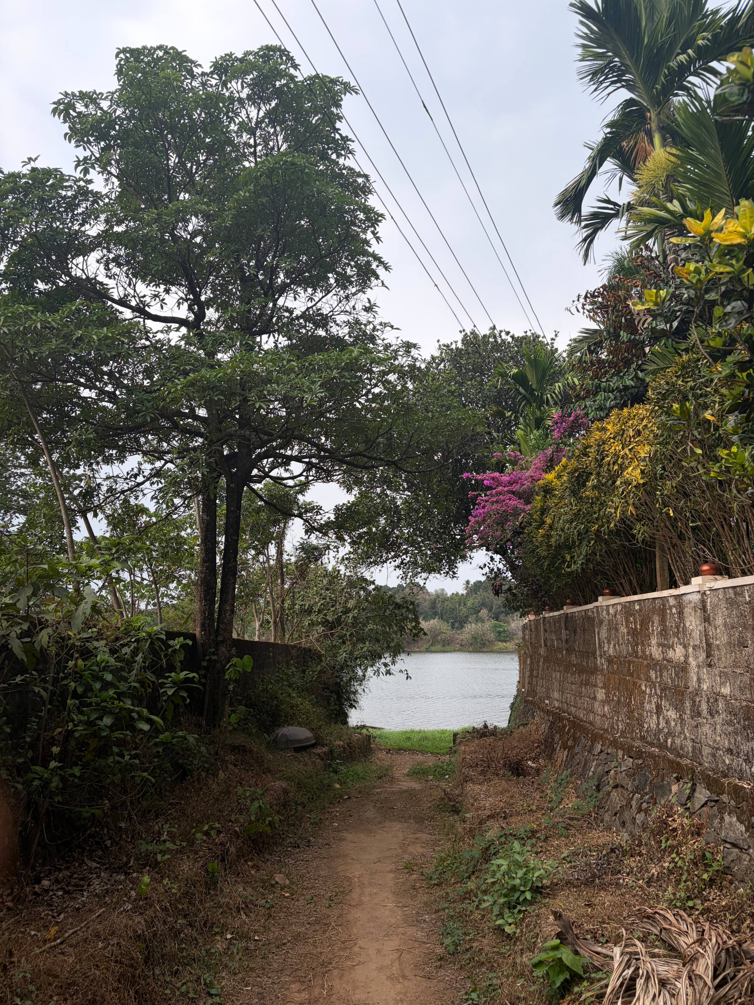 Palm Riverine: Kerala Heritage Retreat 38