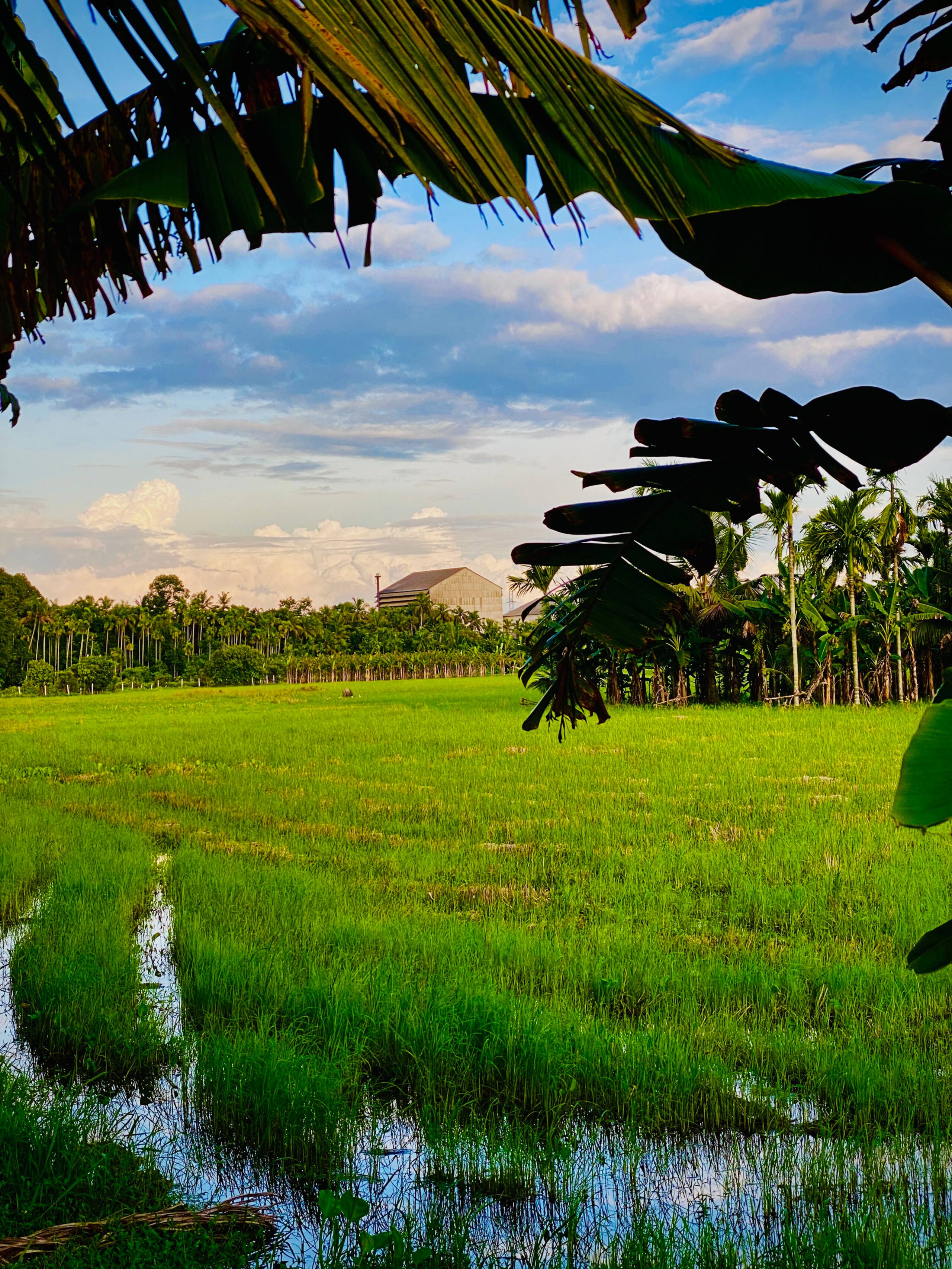 Palm Riverine: Kerala Heritage Retreat 36