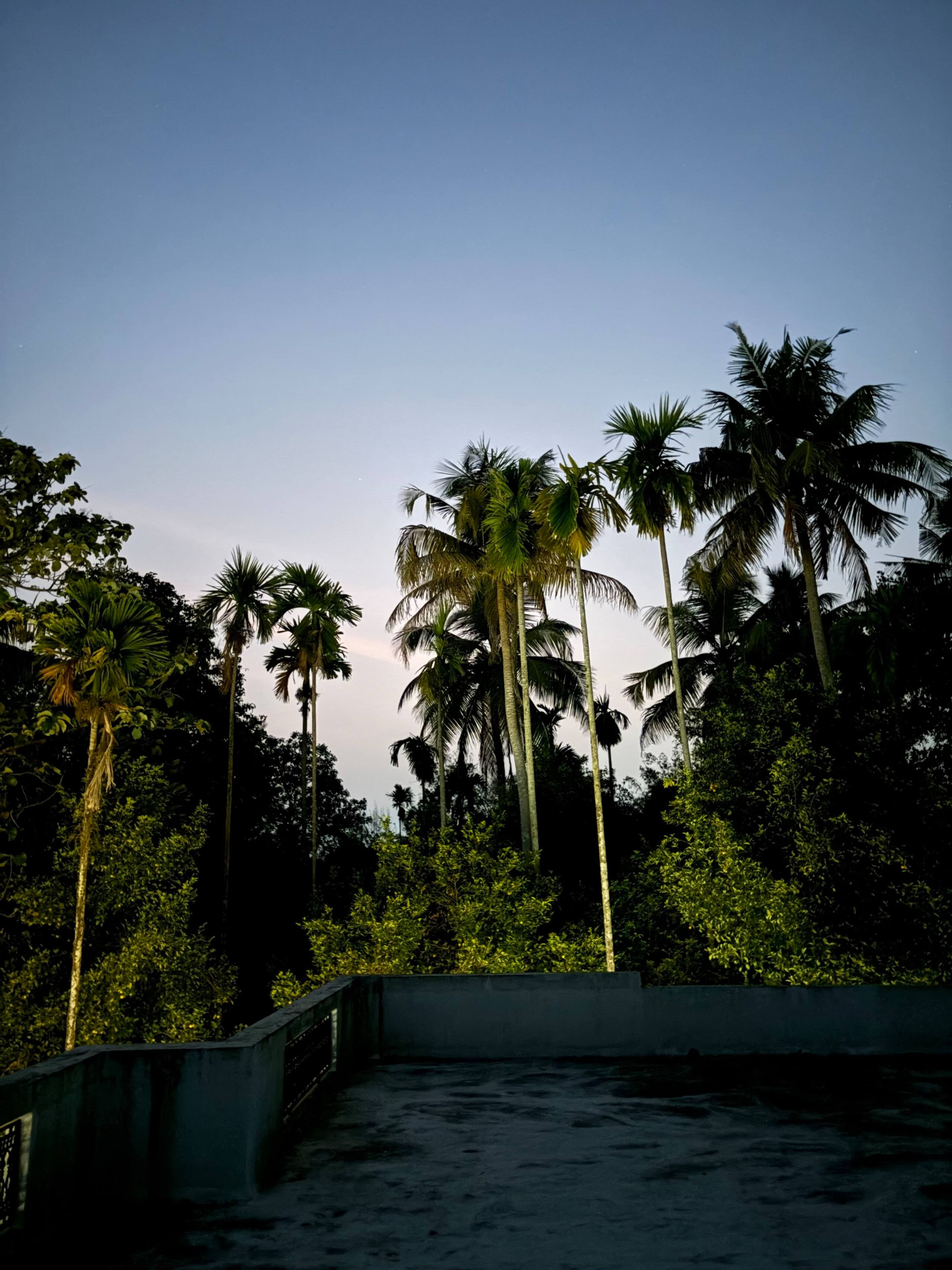 Palm Riverine: Kerala Heritage Retreat 30