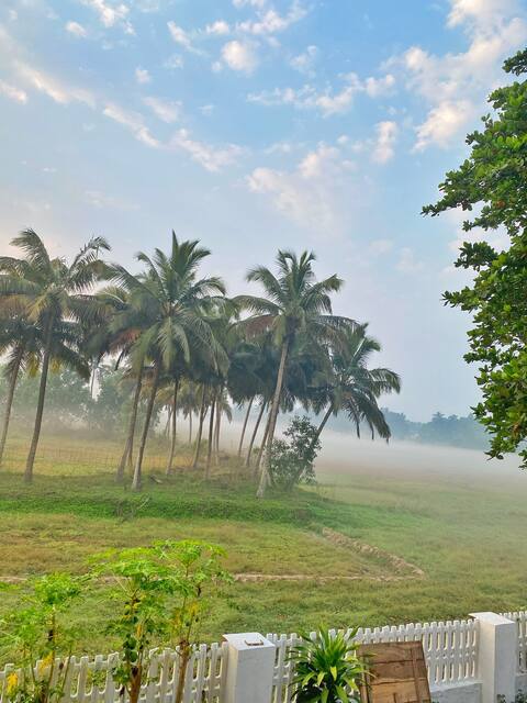 Bluebell Meadows 2BHK South Goa 9