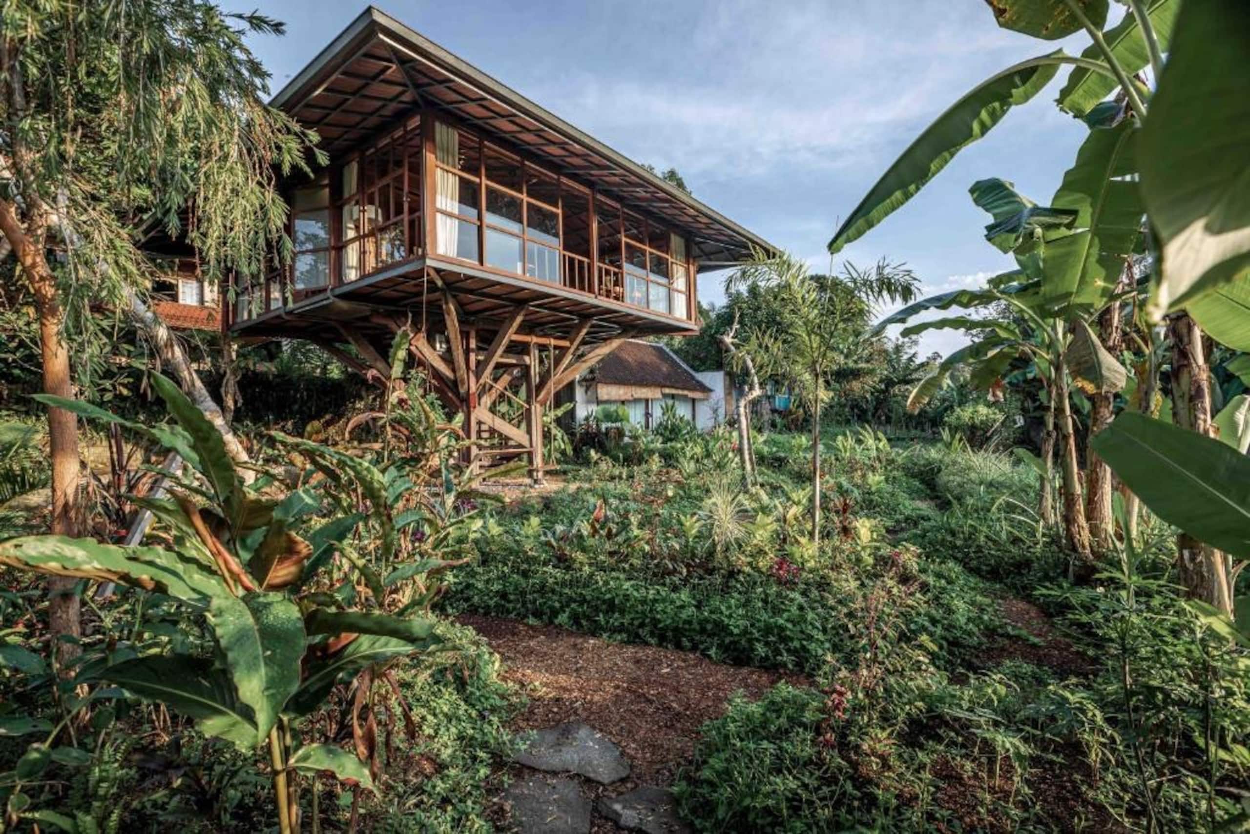 1BR Tropical Treehouse Suite - Construction Offer - Treehouses for Rent in Sayan, Bali, Indonesia 7