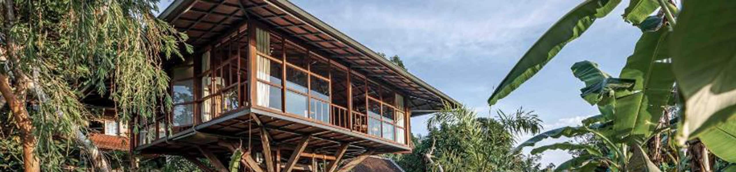 1BR Tropical Treehouse Suite - Construction Offer - Treehouses for Rent in Sayan, Bali, Indonesia — photo 5