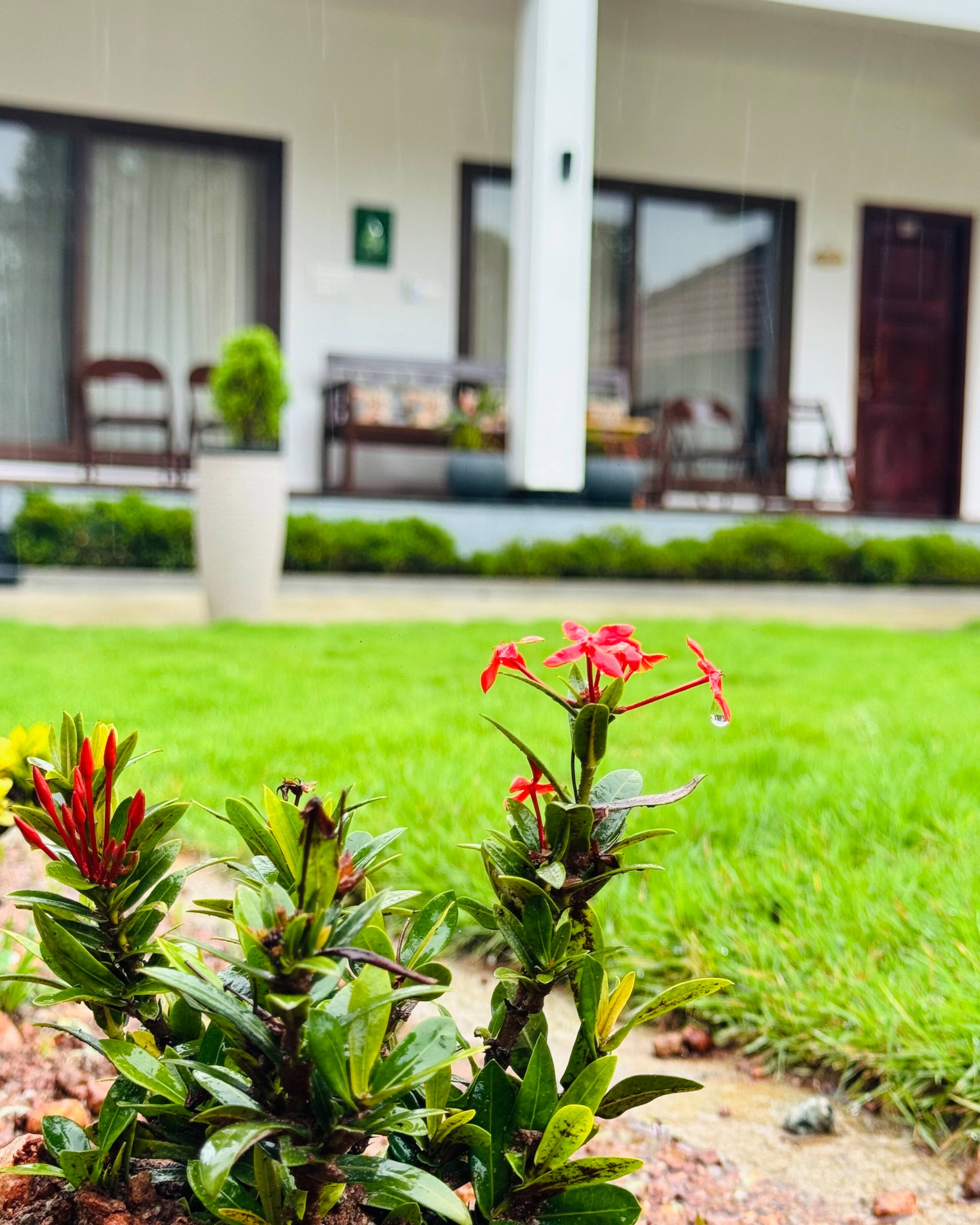 Kaapi Kana Homestay in Chikmagalur 39