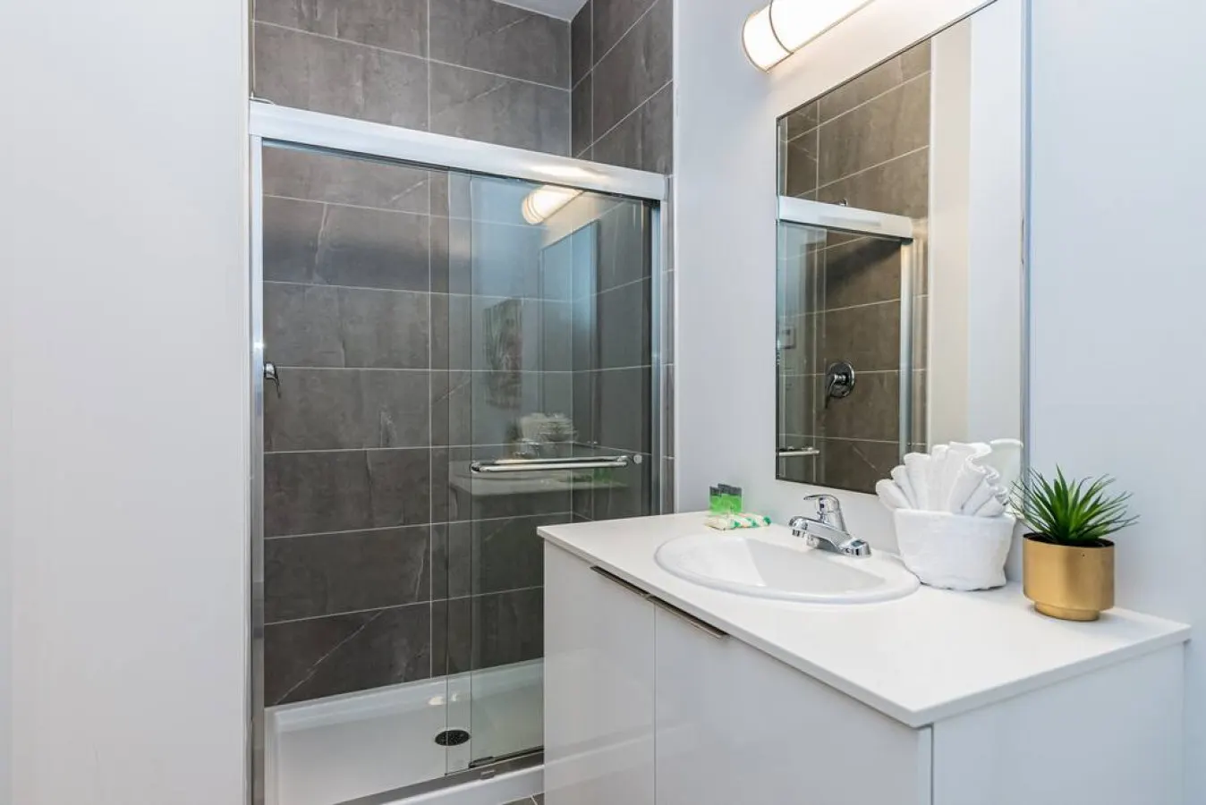 Plateau - Wonderful New Studio close to Mount Royal - Unit 4 20
