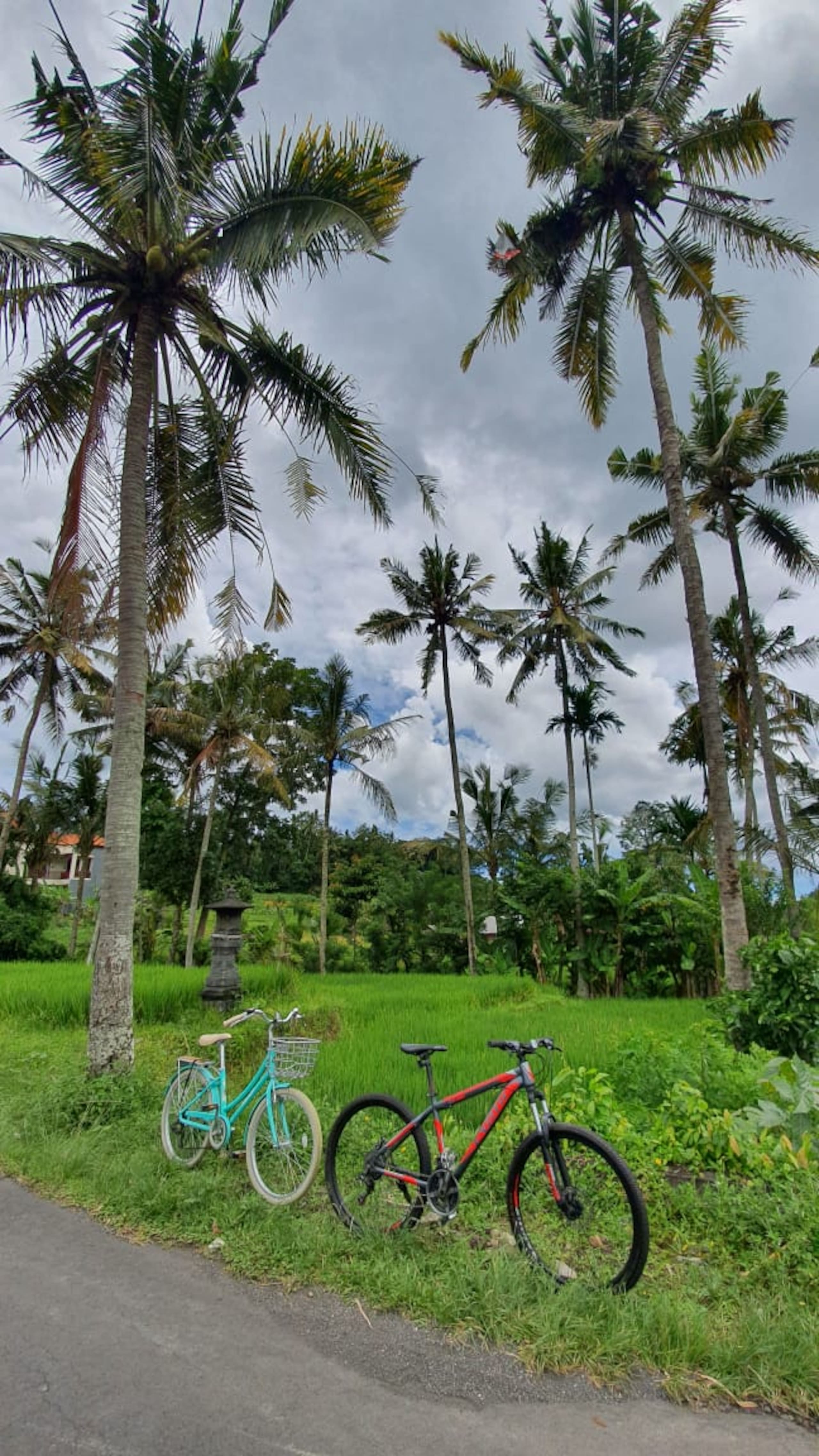 5 Bedroom Nana Villa Ricefield View Sidemen 19