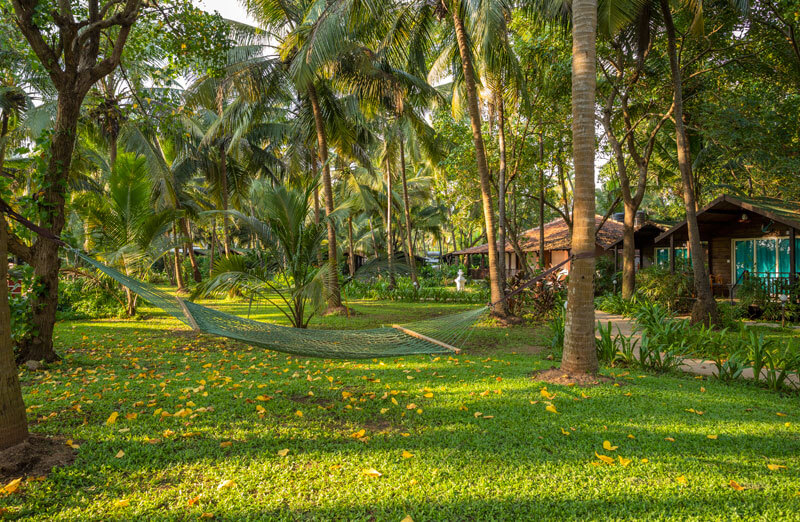 Green Bay Beach & Bed Goa (Beach 150 Meters away) 12