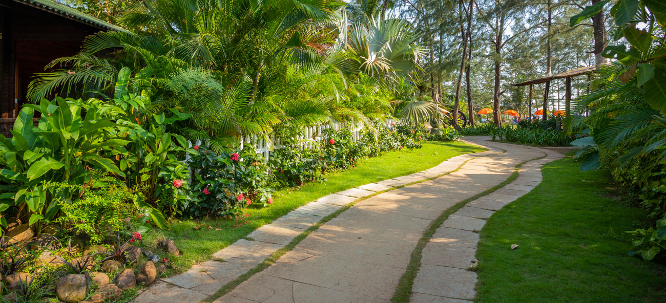 Green Bay Beach & Bed Goa (Beach 150 Meters away) 8