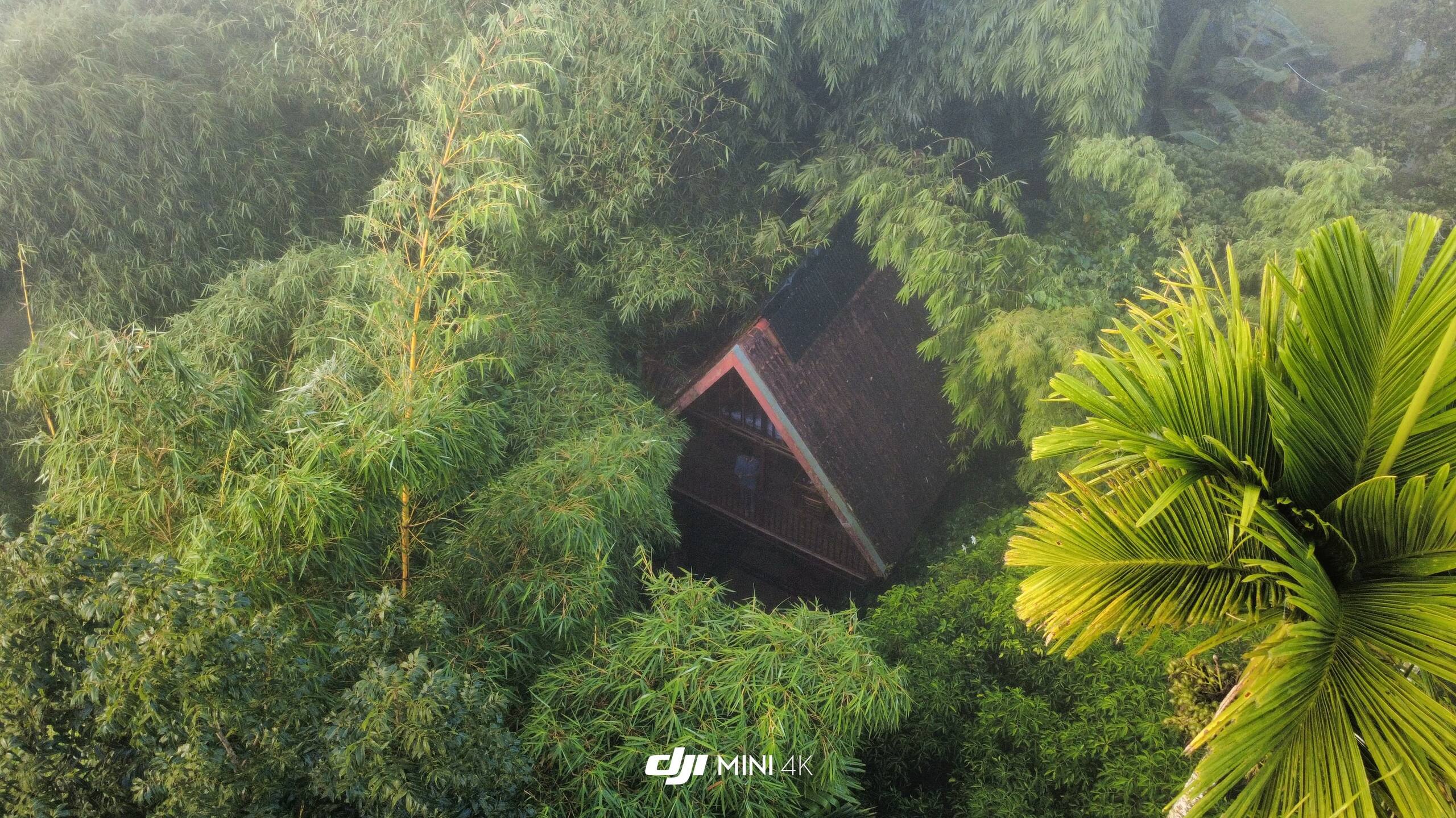 Duplex Riverside Treehouse- RiverTree FarmStay 2