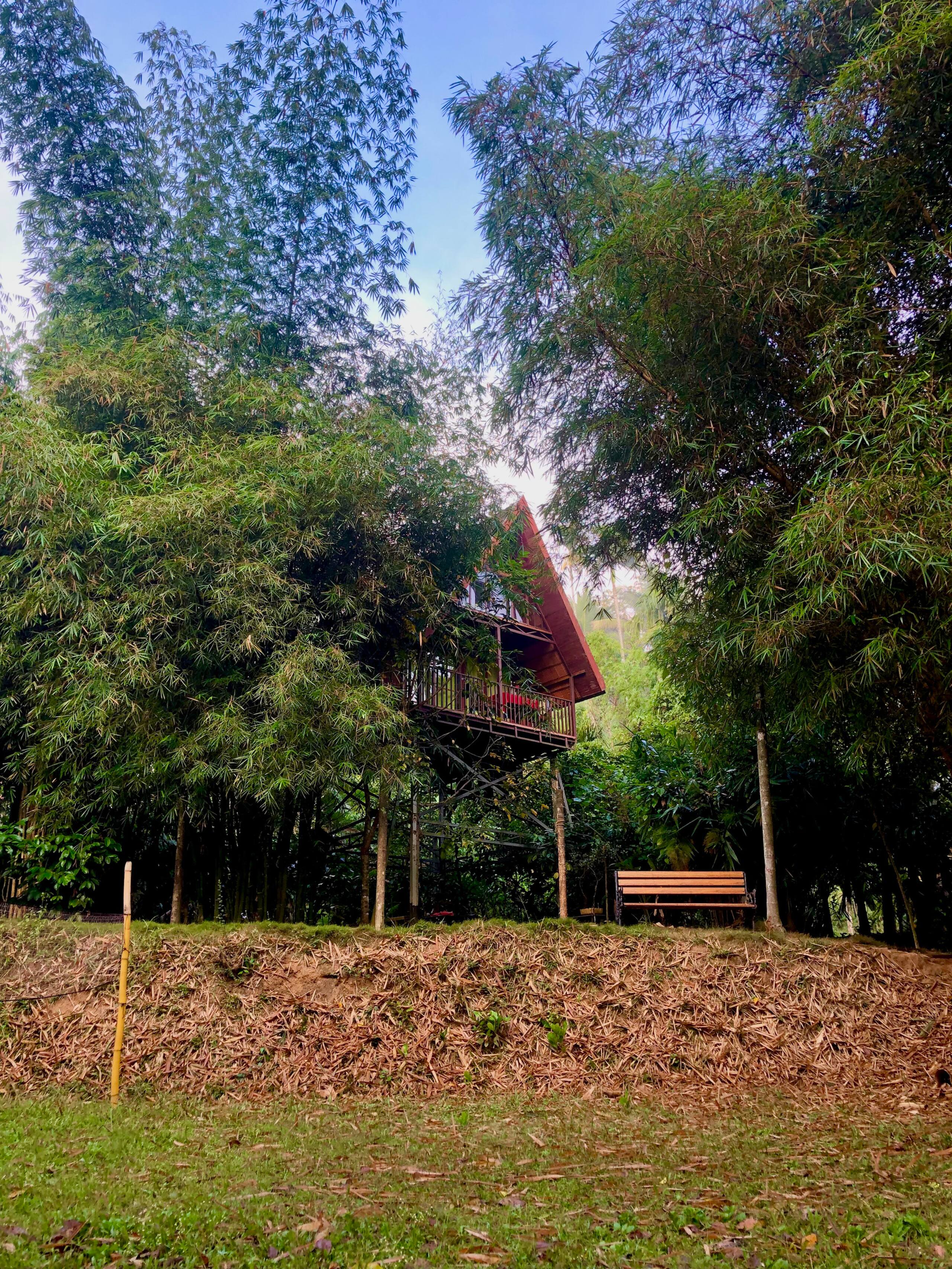 Duplex Riverside Treehouse- RiverTree FarmStay 4
