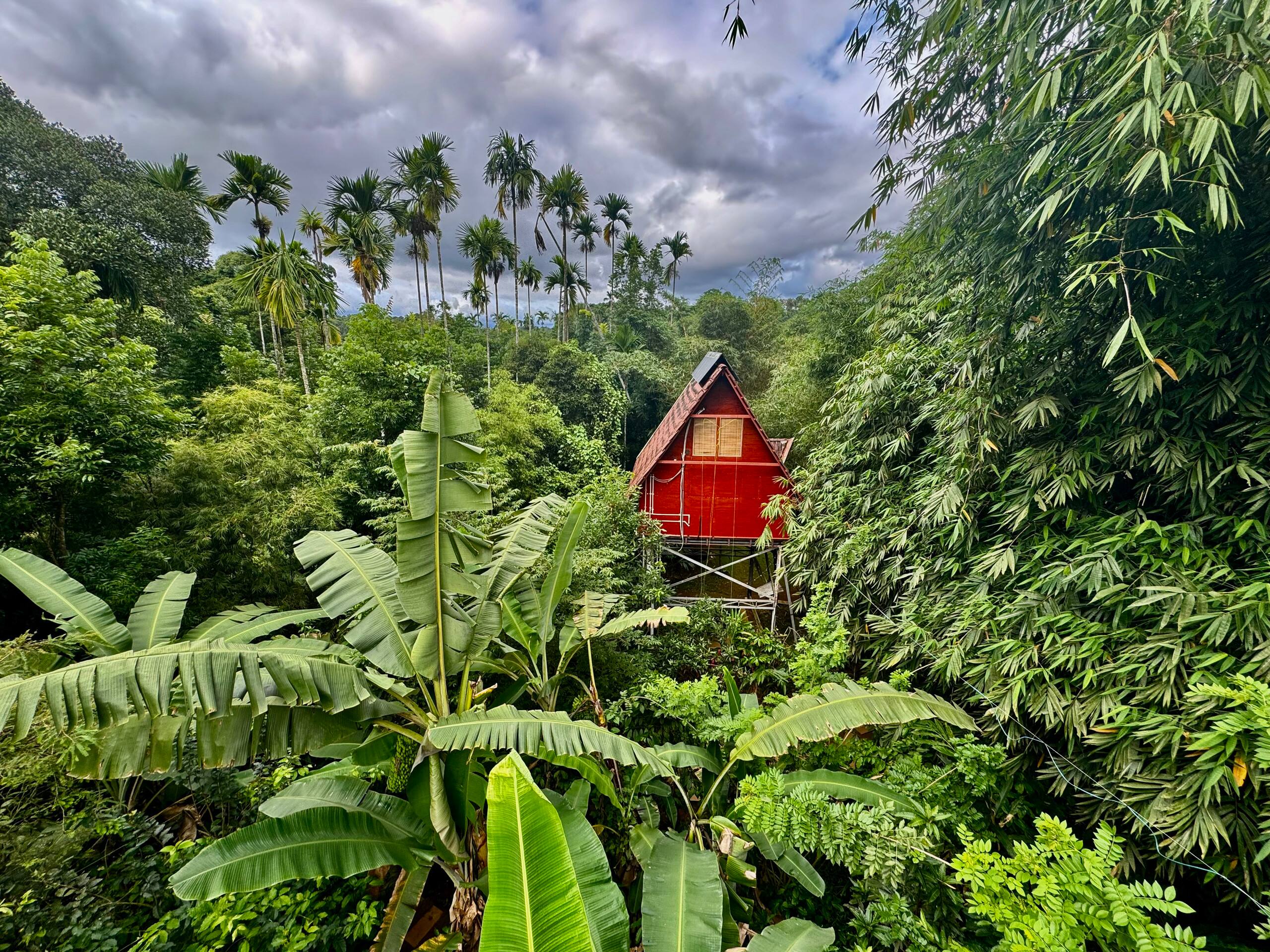 Duplex Riverside Treehouse- RiverTree FarmStay 1