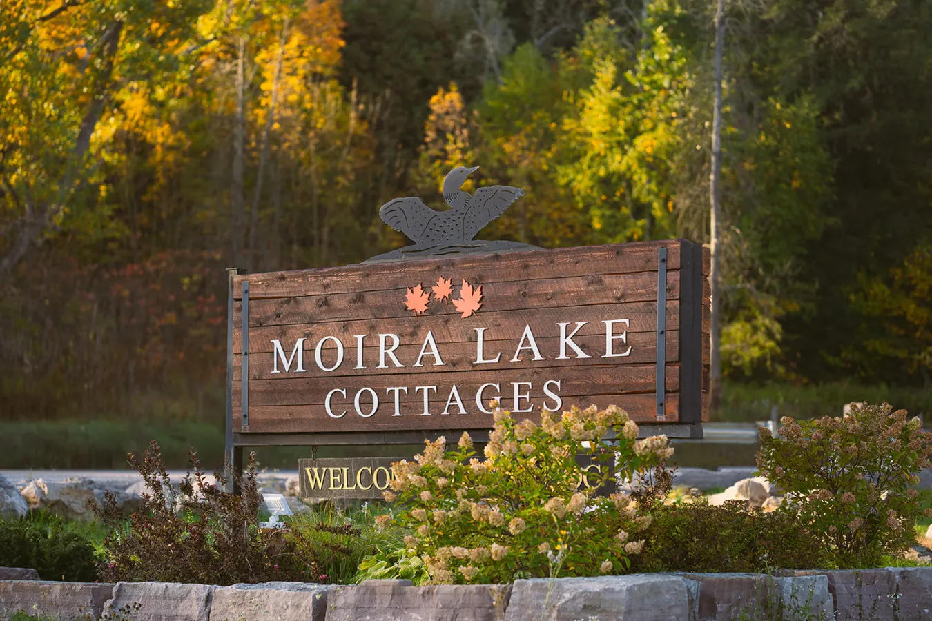 MLC-Two Lakefront Cottages - NO Neighbours beside!