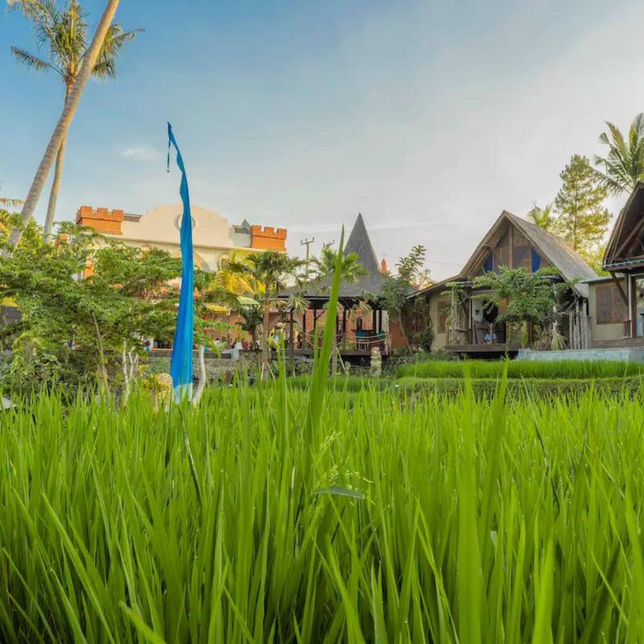 Menzel ubud Deluxe Room 30
