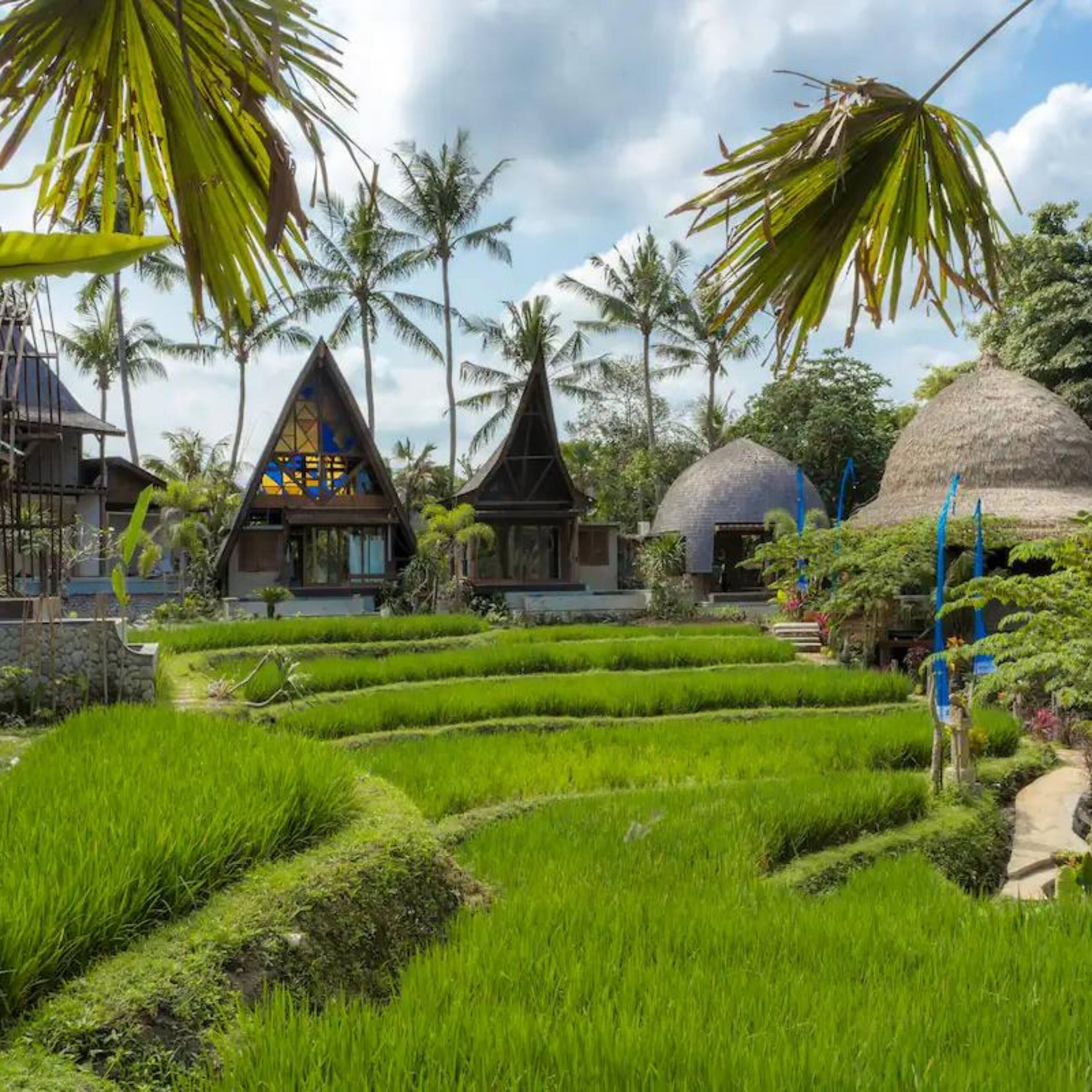 Menzel ubud Deluxe Room 22