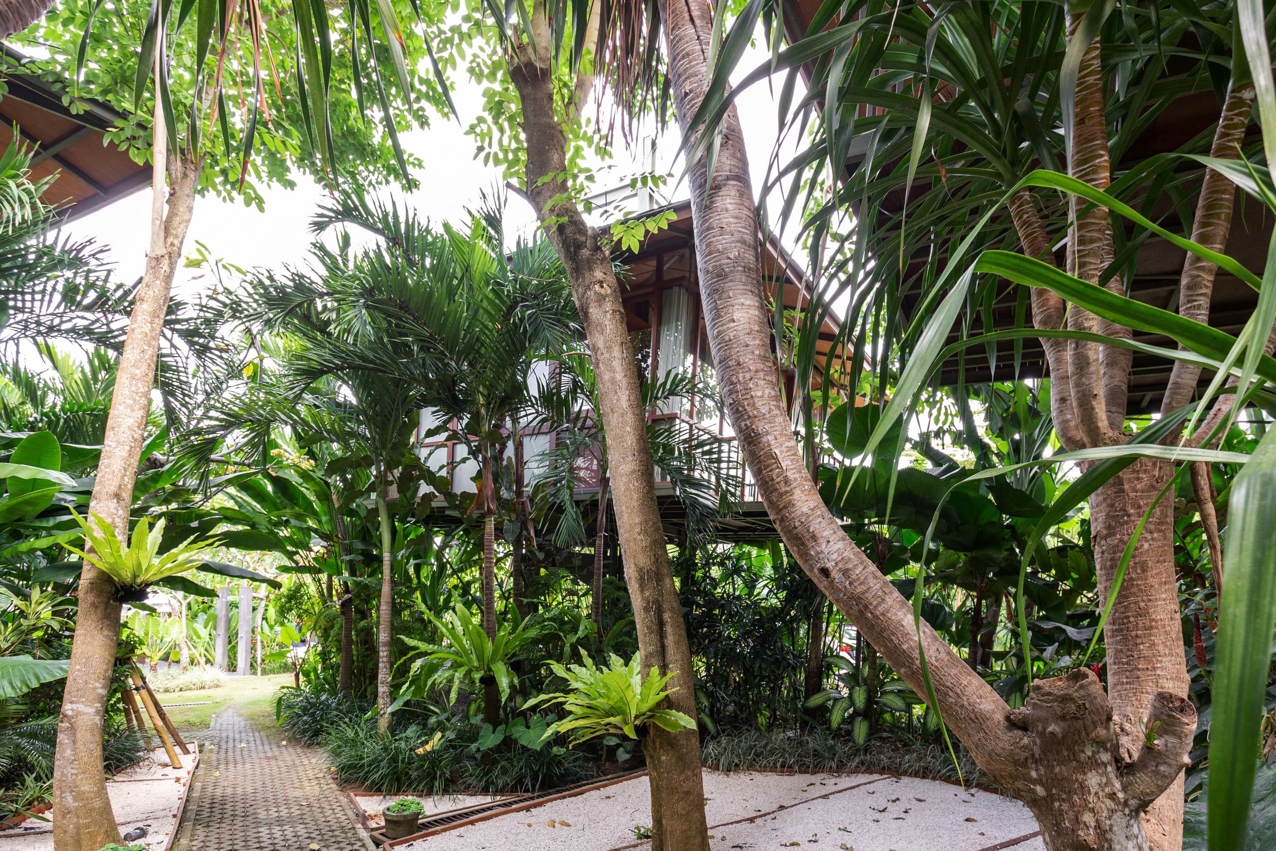 Grün Canggu 1BR Treehouse Amazing Rice Field Views - Boutique hotels for Rent in Mengwi, Bali, Indonesia 7