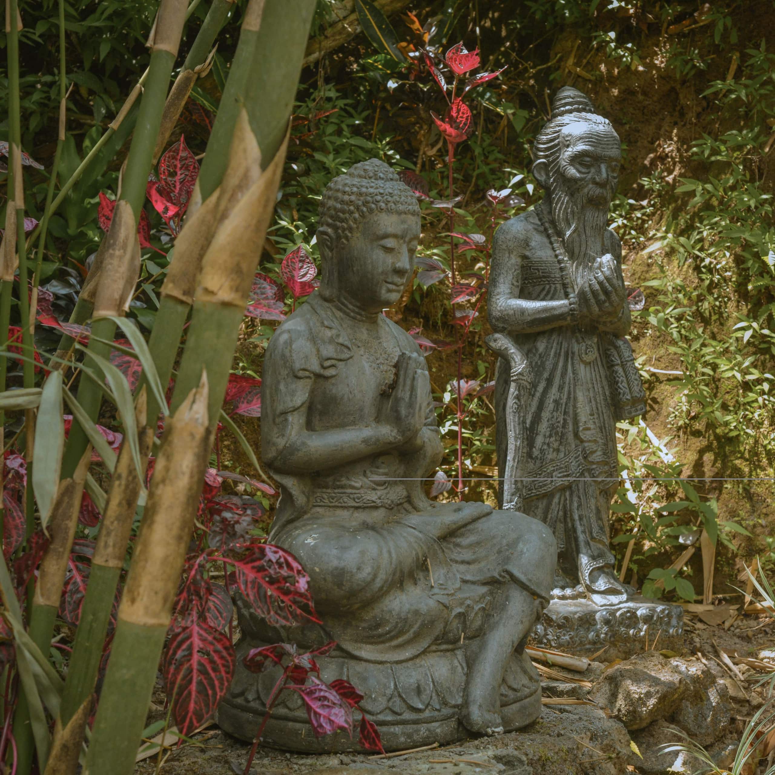 Gumi Ayu EcoStay 19
