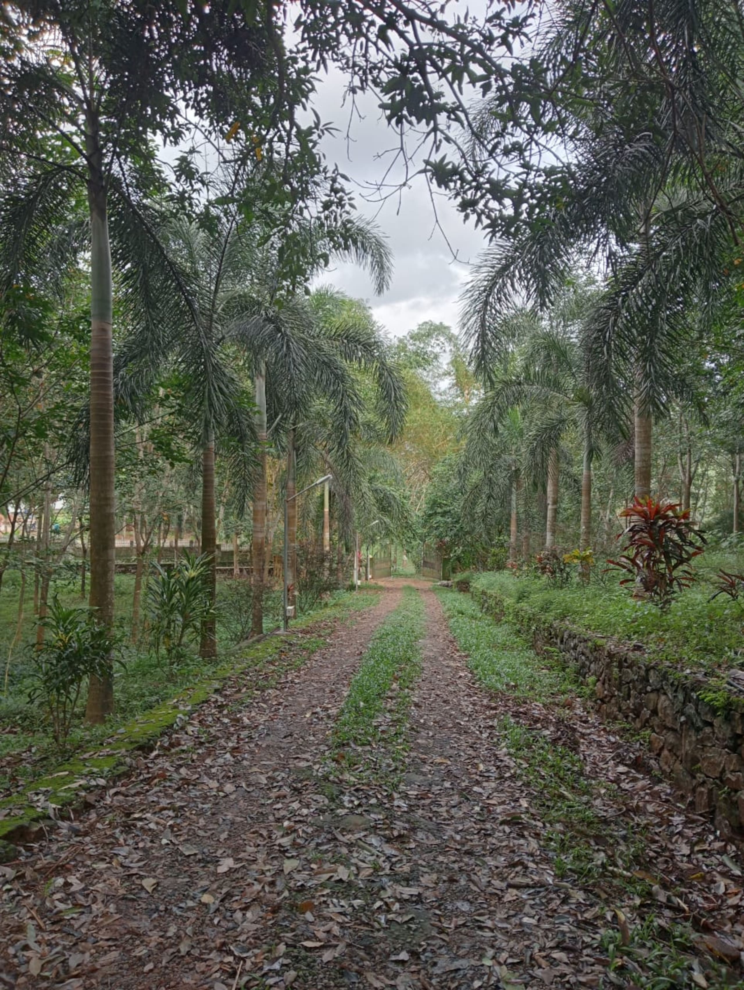 Nellari Heritage Bungalows 4