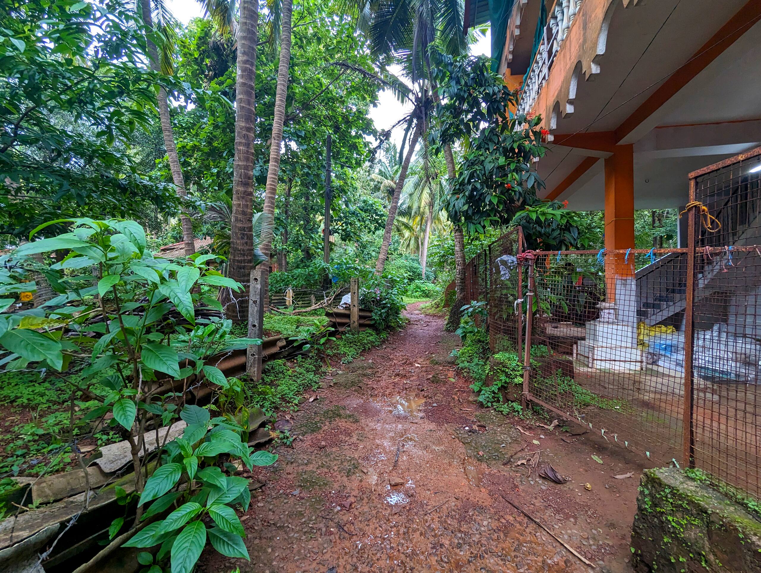 Sunshine in Palolem, Canacona By Yara Yara's 8