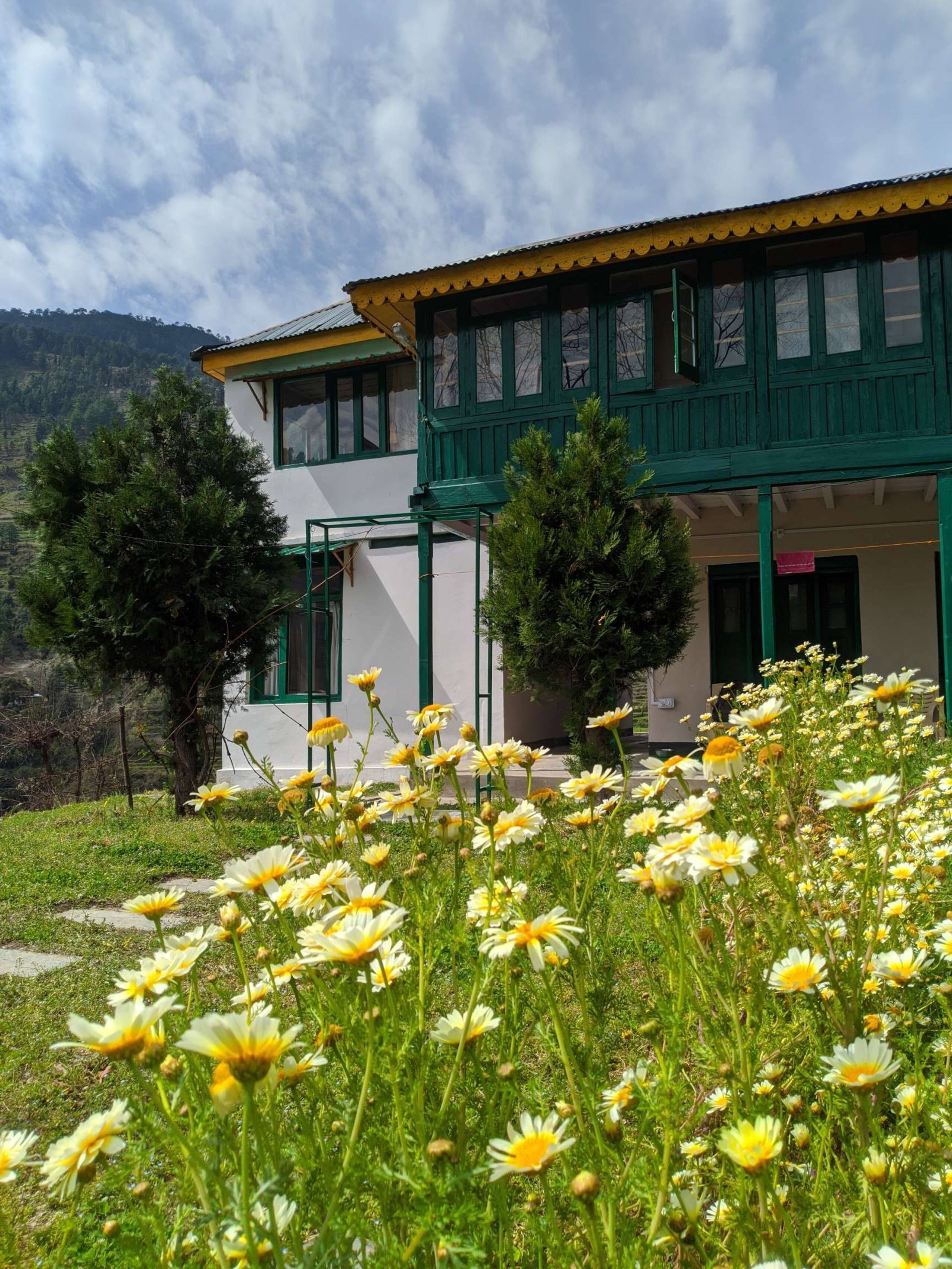 Gaddi Tarils Eco Lodge (Entire Lodge) 15