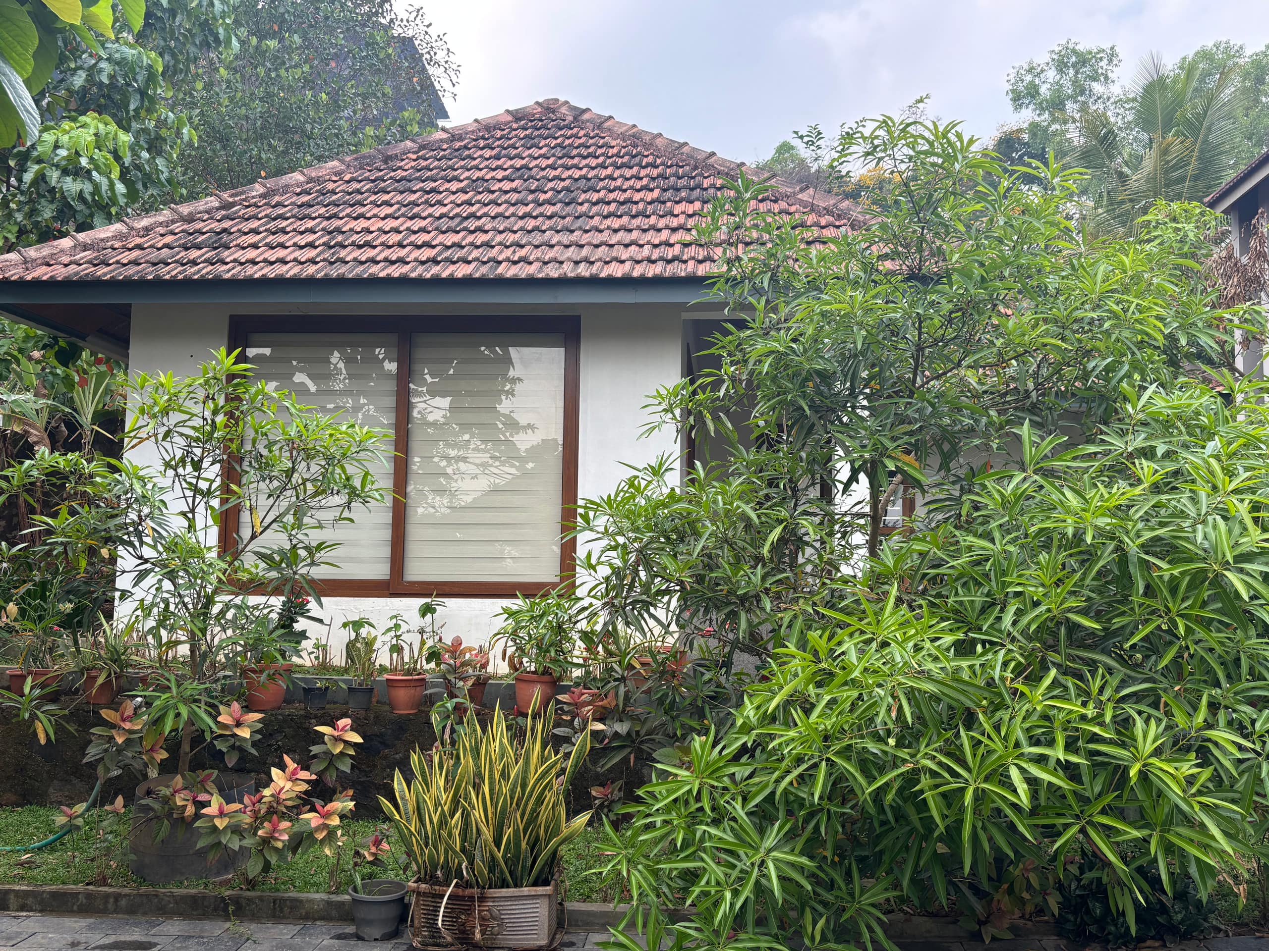 Bluewoods Homestay - Cozy Nature Stay 4