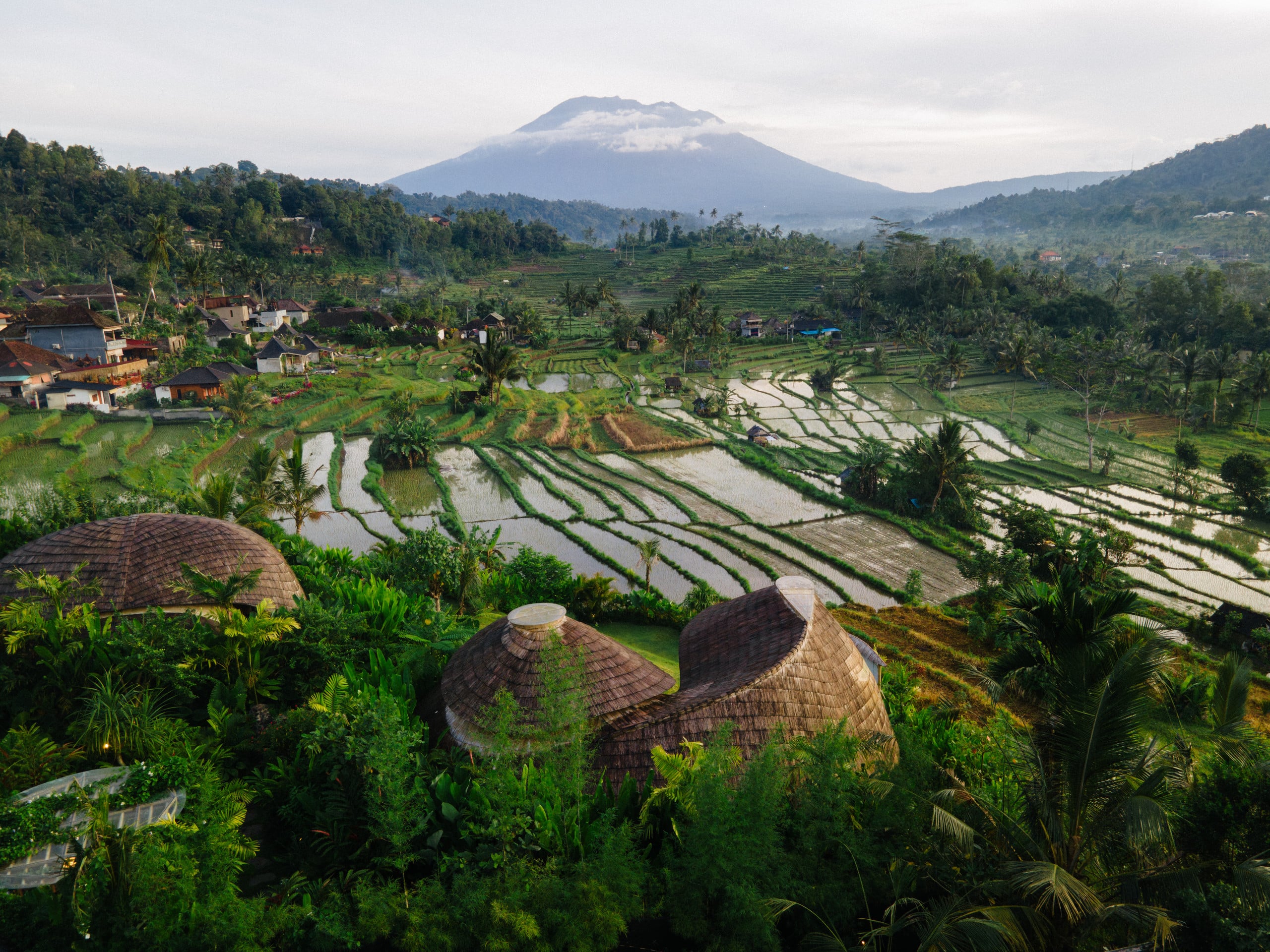 NEW! Green Earth Bali | Cinnamon Villa 38