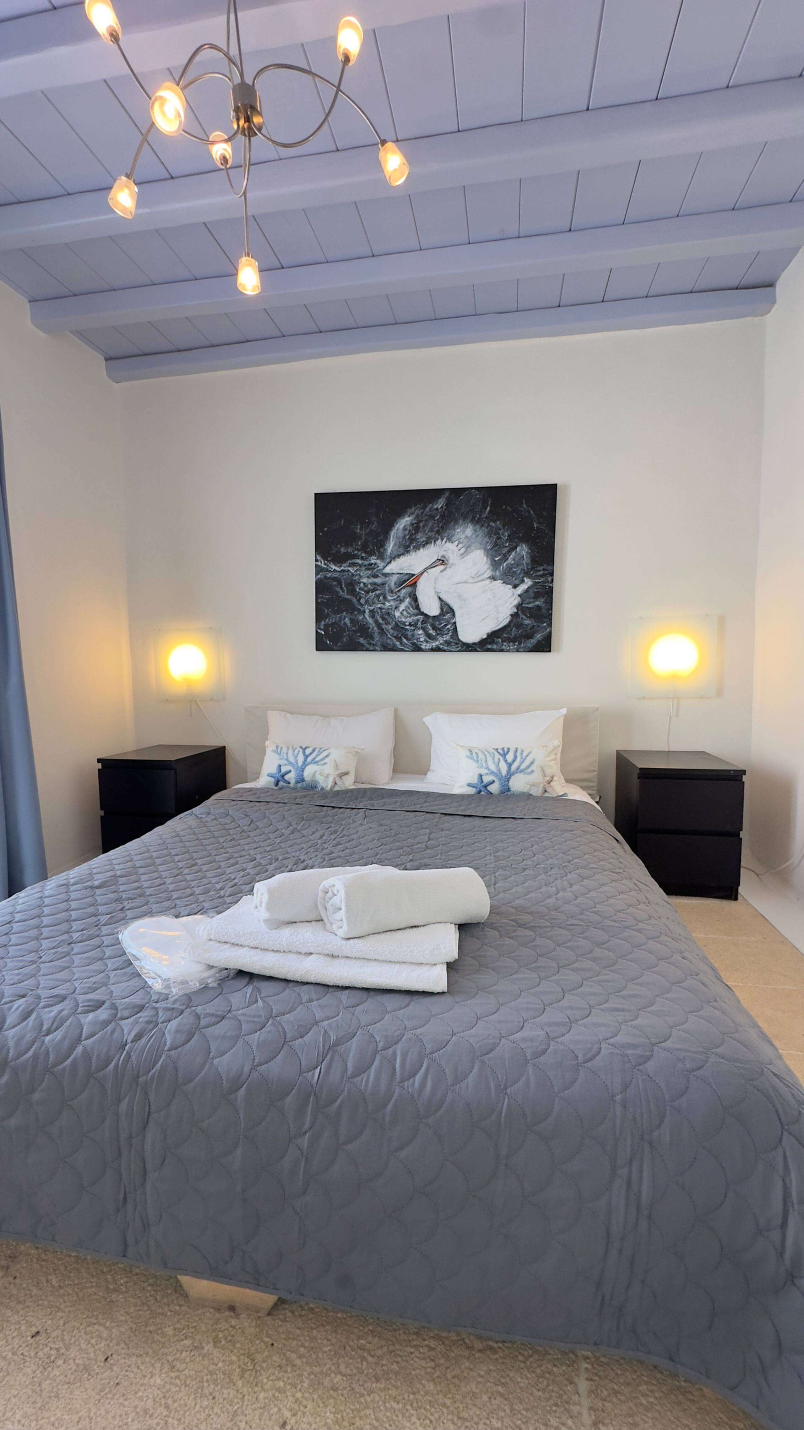 Venus suite 24