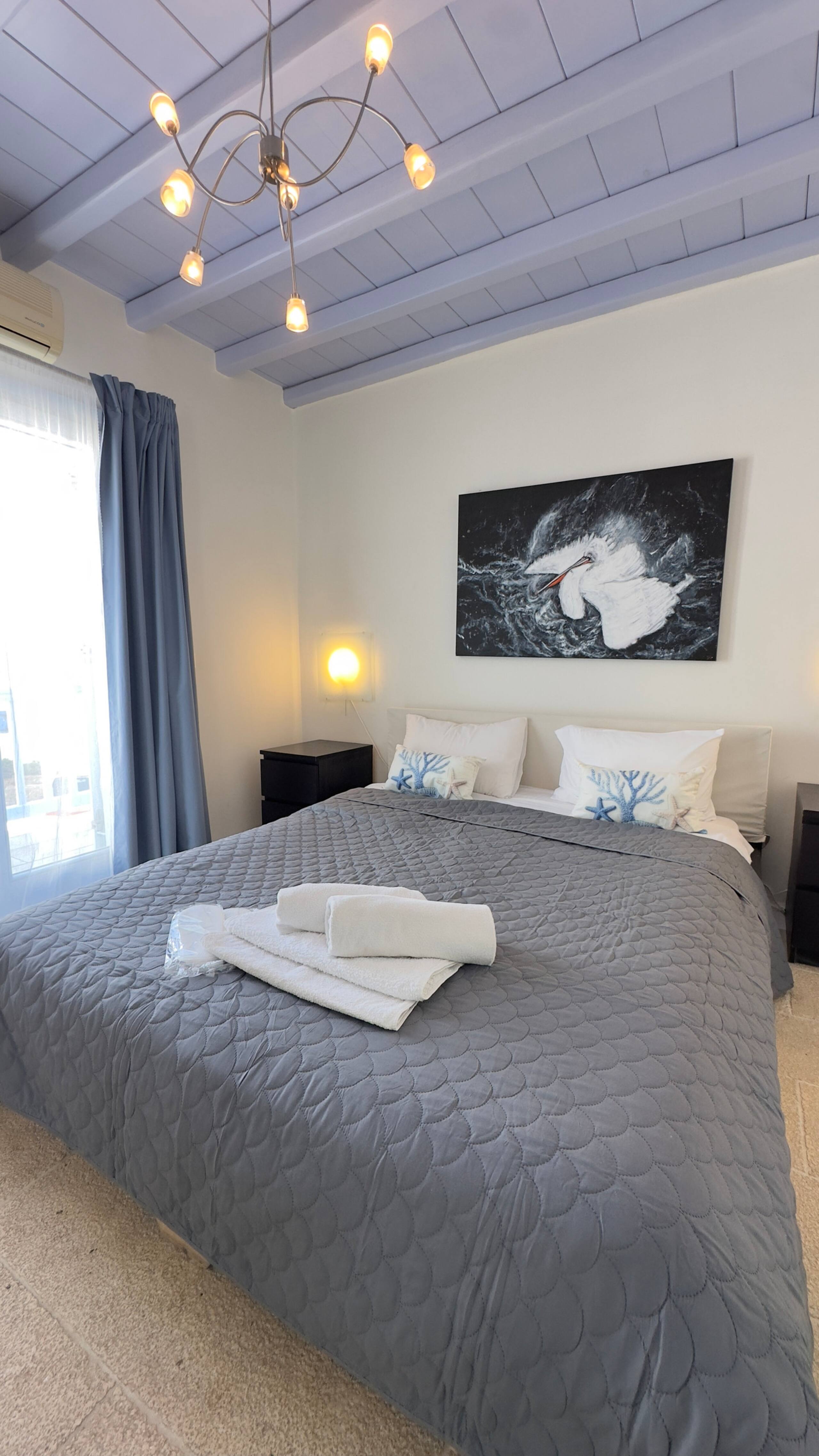 Venus suite 25