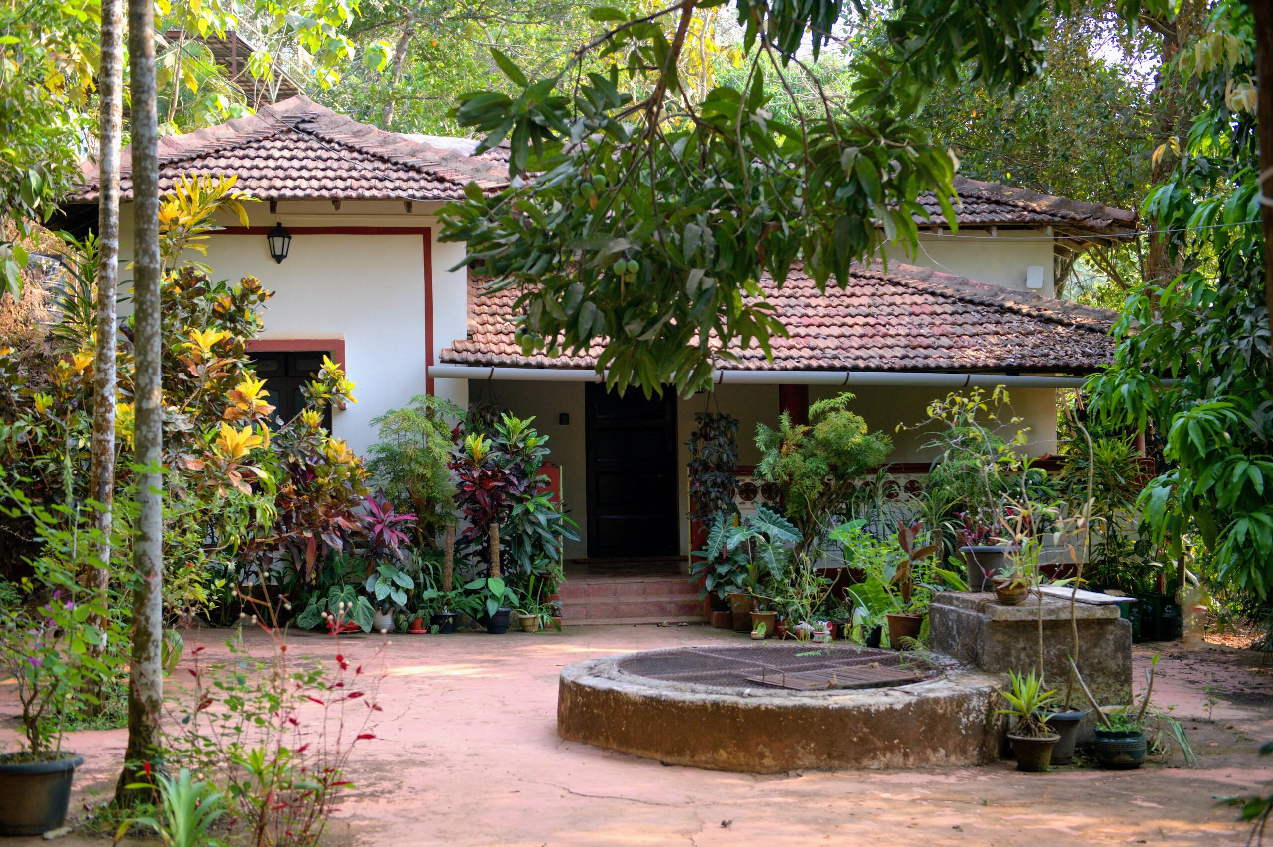 Private jungle bungalow-10mins from Agonda beach 2