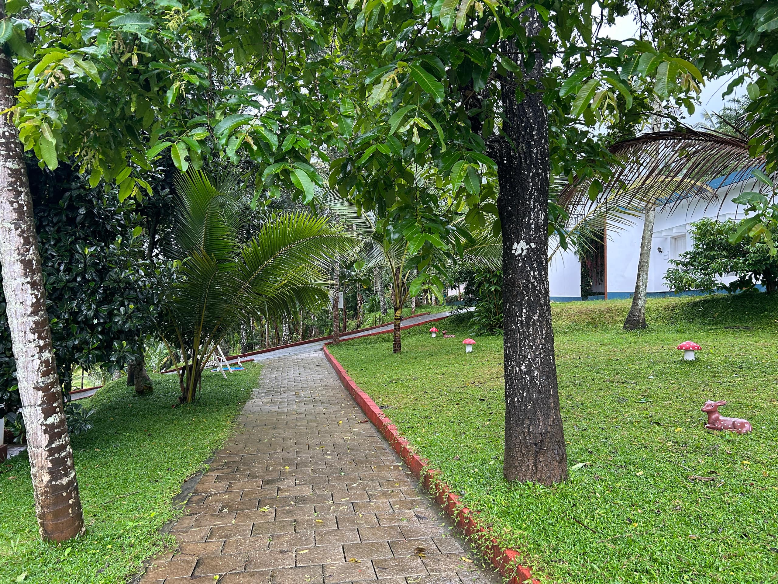 Silver Oak 1 bedroom Holiday Home (Wayanad) 19