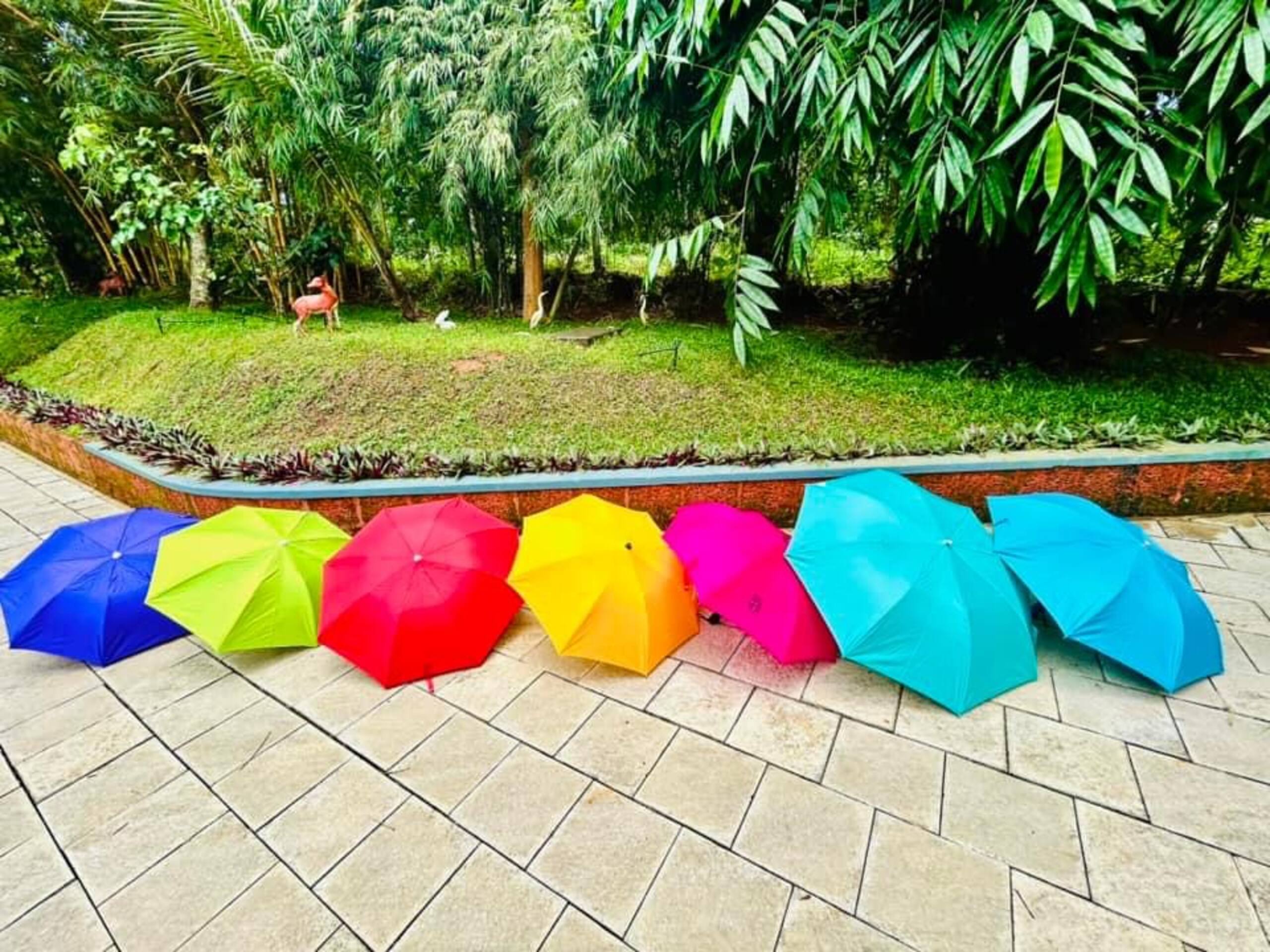 Silver Oak 1 bedroom Holiday Home (Wayanad) 15