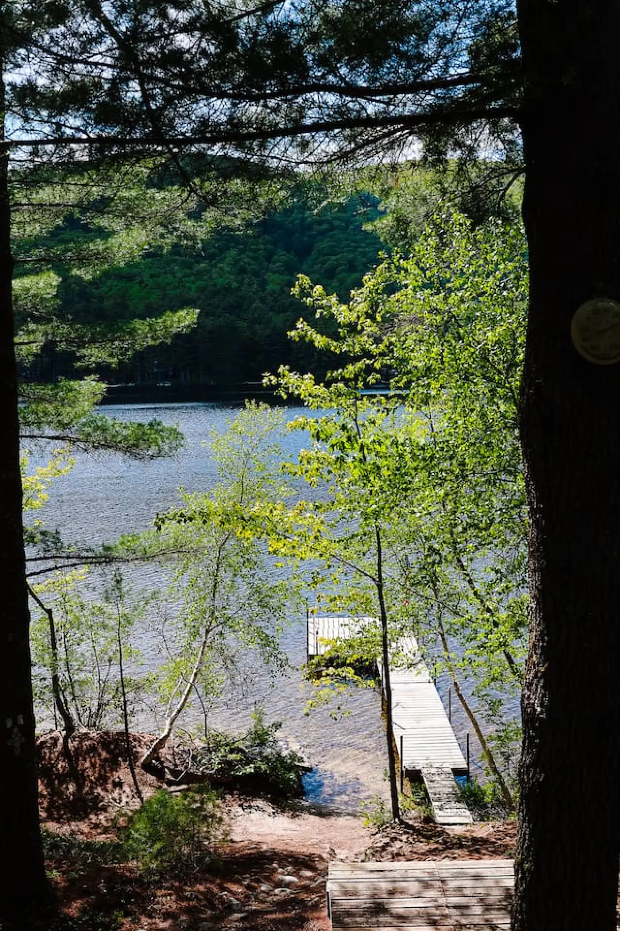 Gramps Camp Moose Pond 13