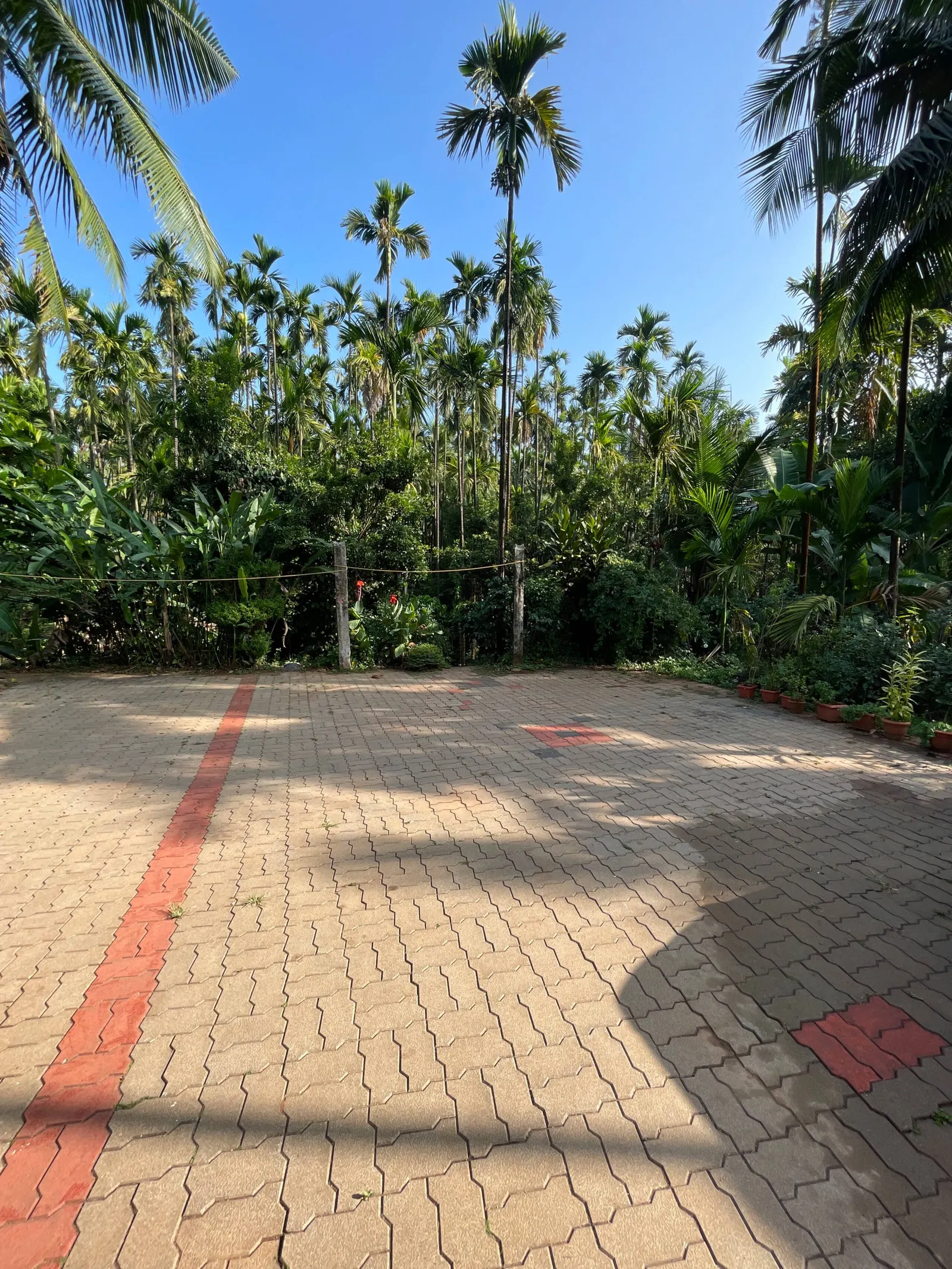 Mounavana Cottage (Cheerful entire 3 bedroom home) 20