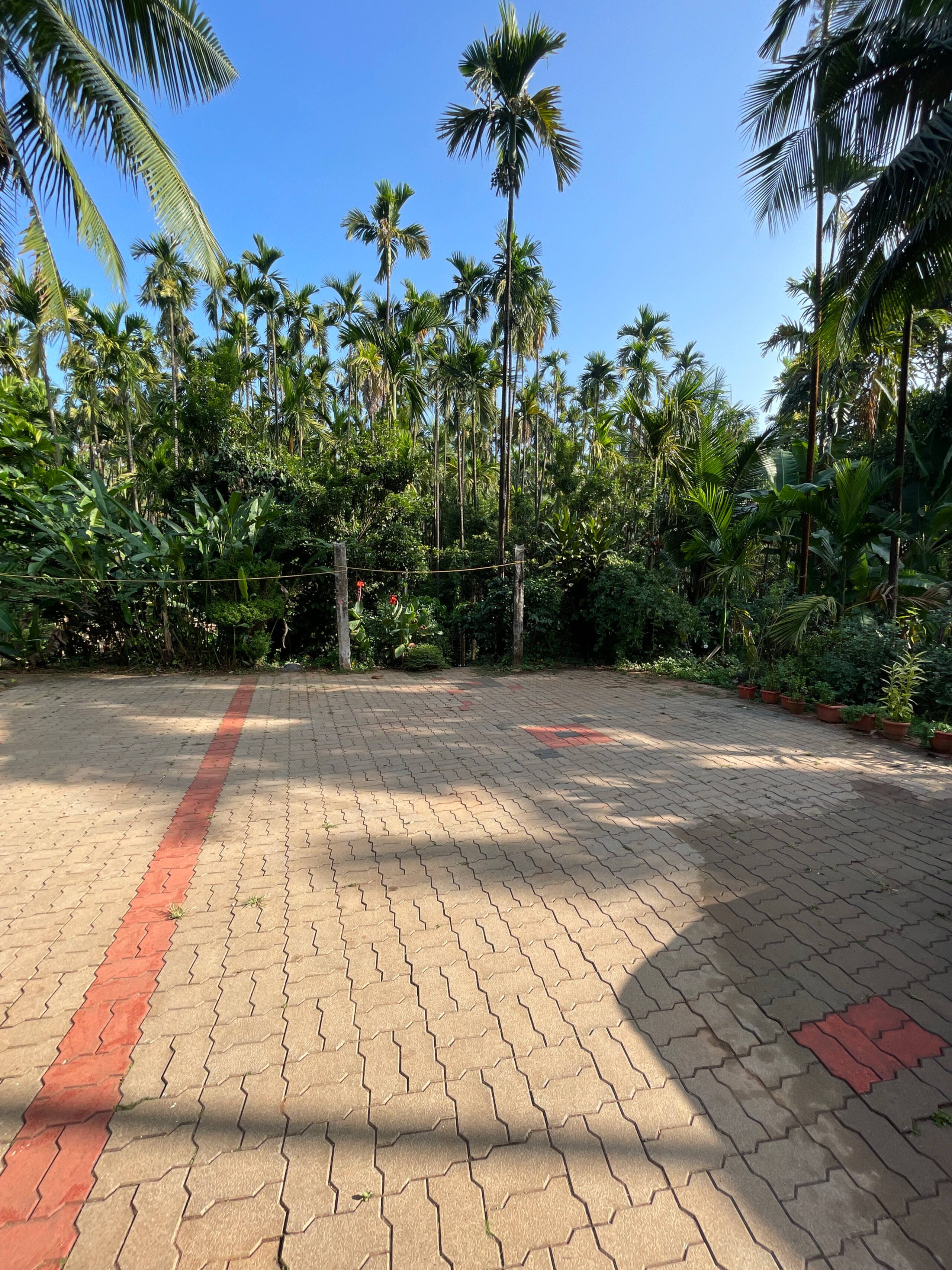 Mounavana Cottage (Cheerful entire 3 bedroom home) 20