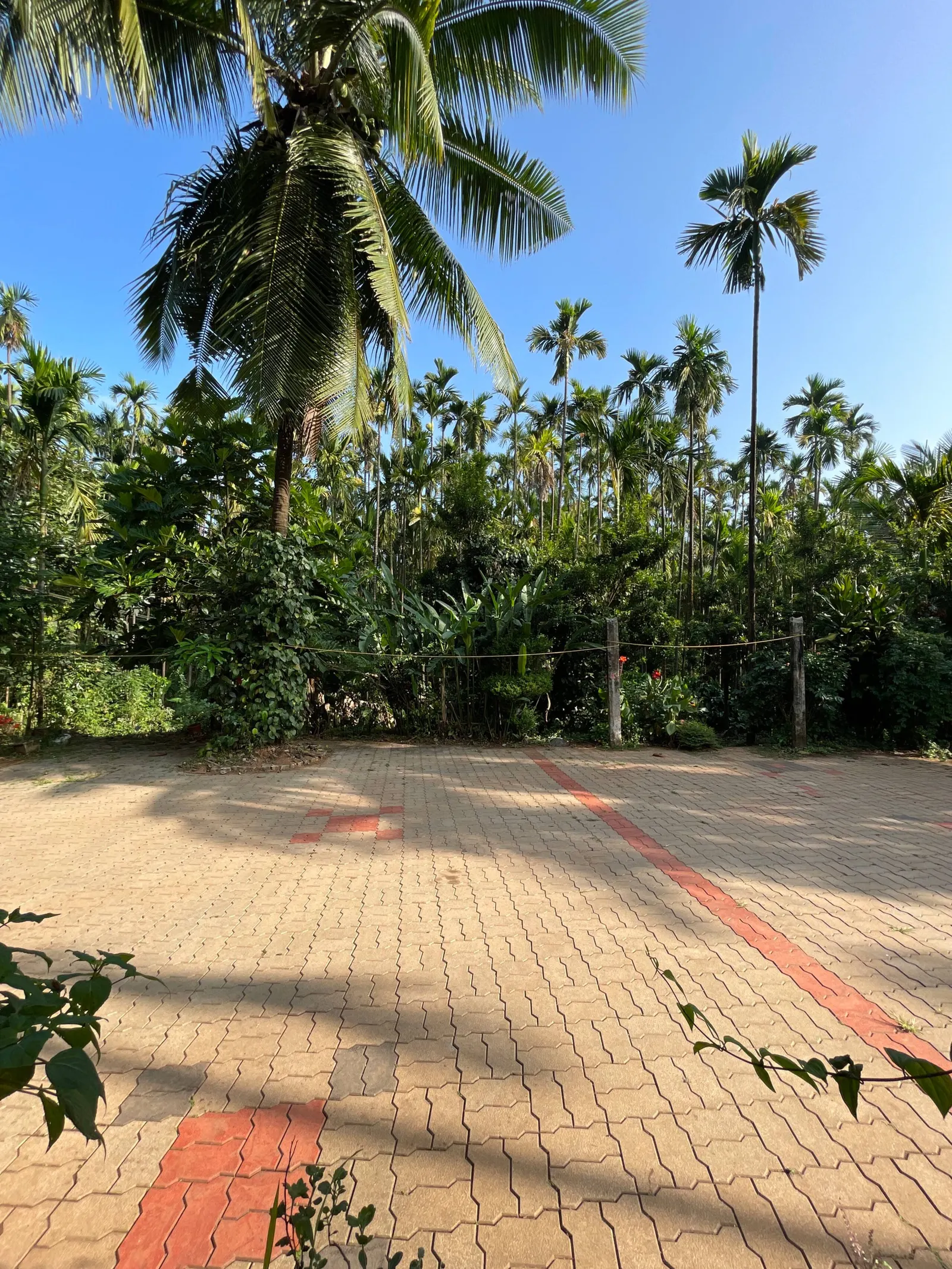 Mounavana Cottage (Cheerful entire 3 bedroom home) 23