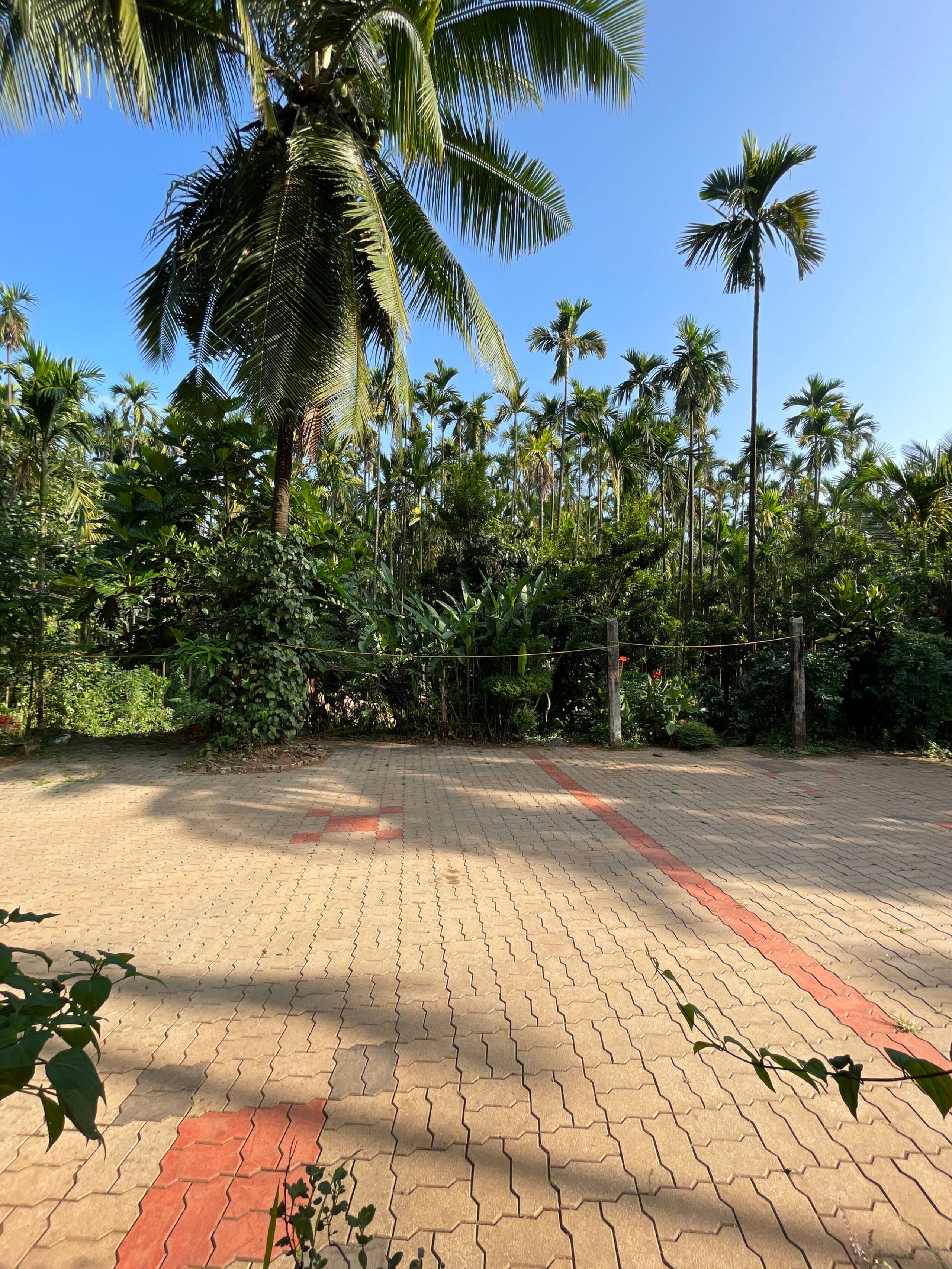 Mounavana Cottage (Cheerful entire 3 bedroom home) 23