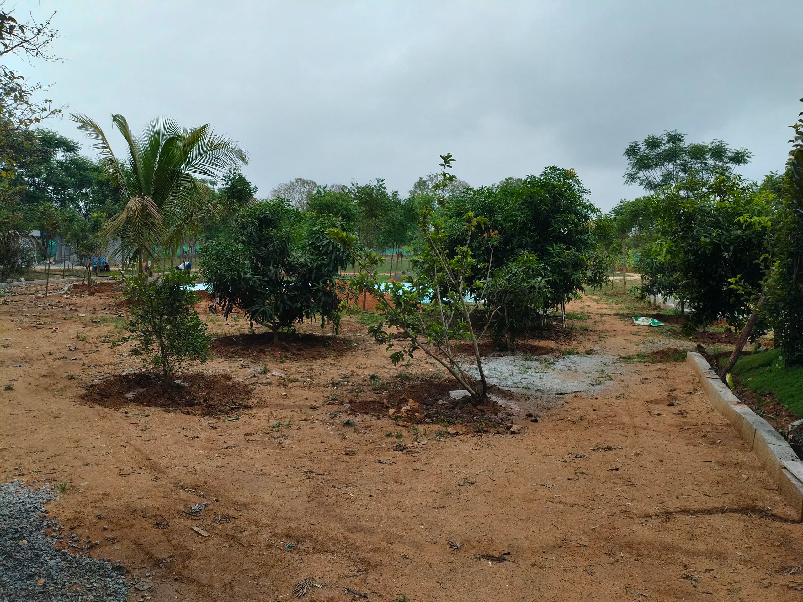 Chinnaswamy Farm Stay (Tank House) 7