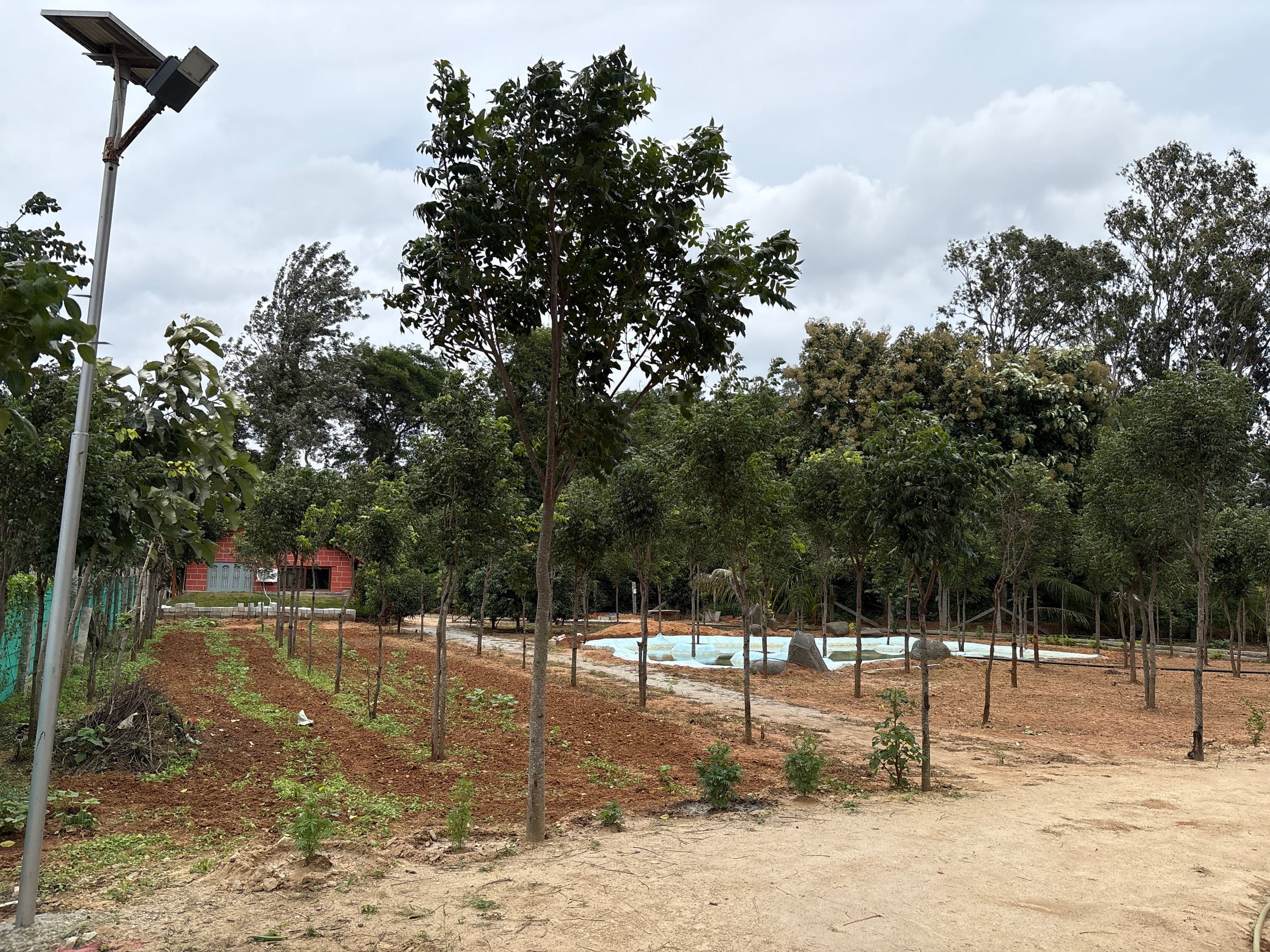Chinnaswamy Farm Stay (Tank House) 16