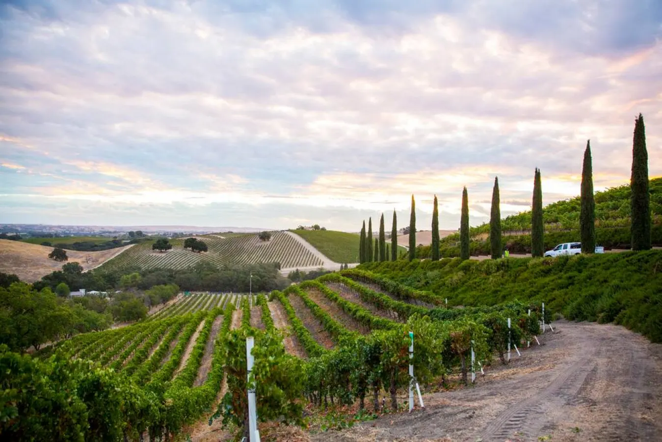Aterno Estate & Vineyard 11