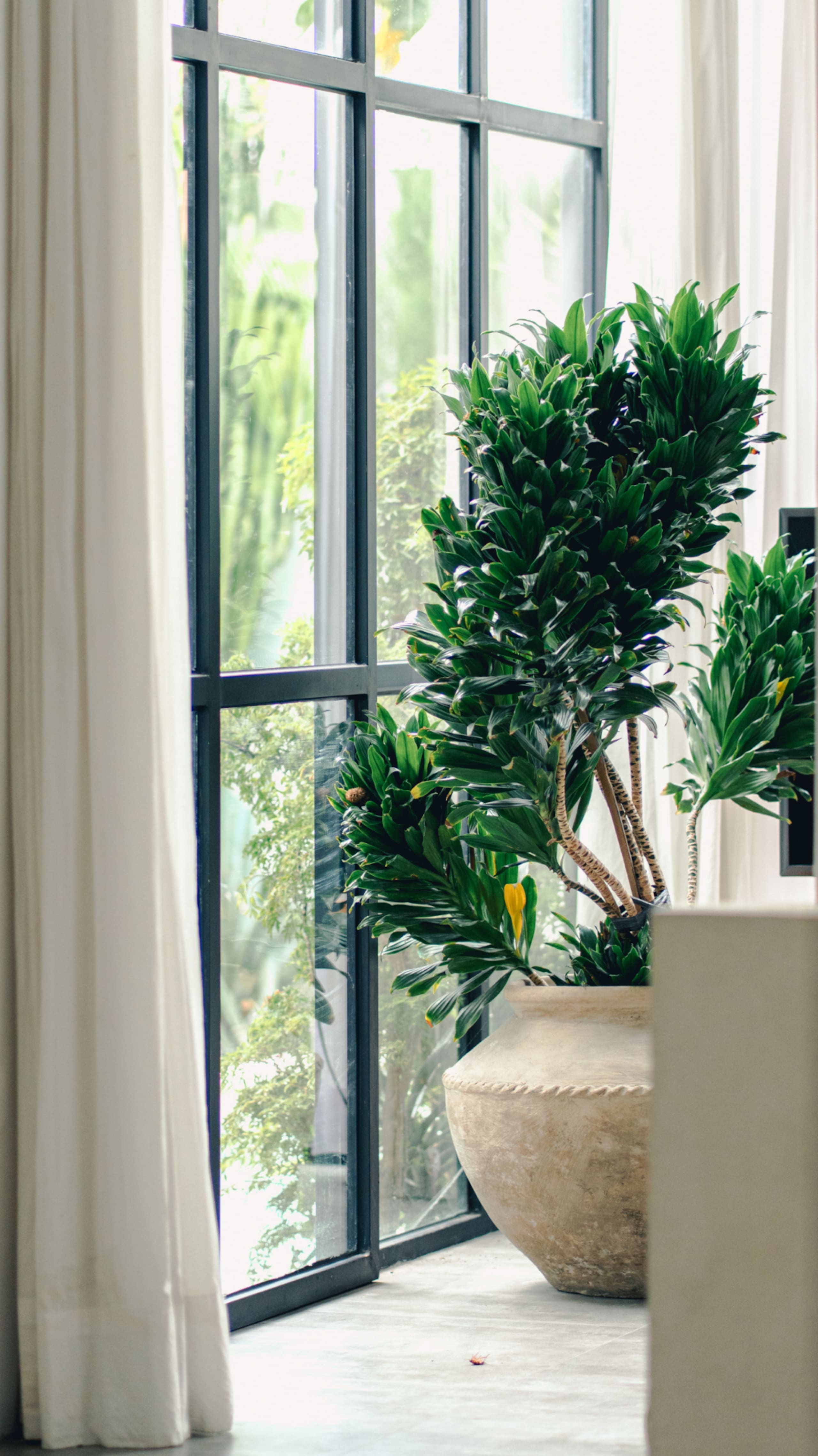 Casa Leone Canggu | Summerhouse Bali 13