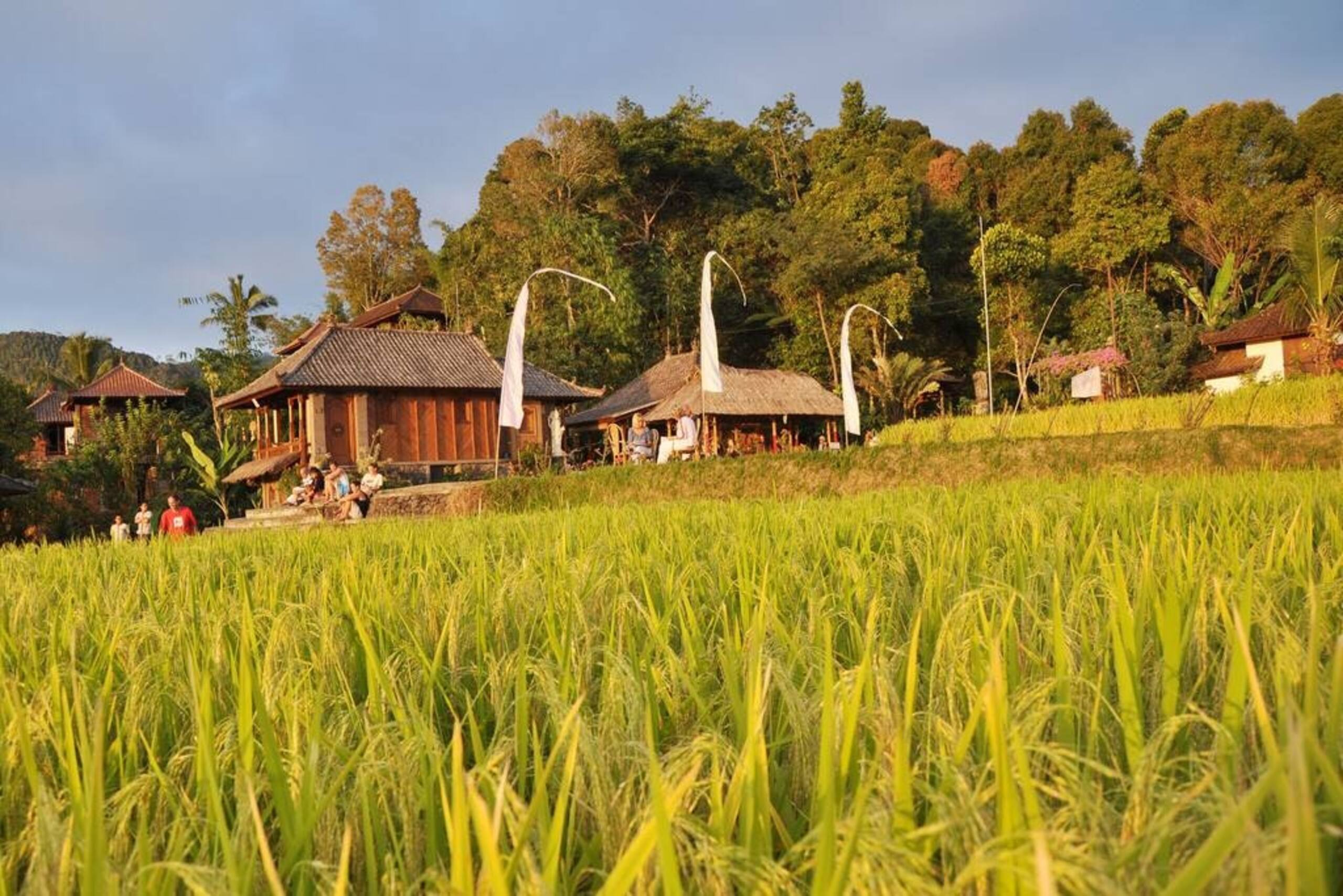 Puri Lumbung Cottages, Taman Puri & VAD Villa 22