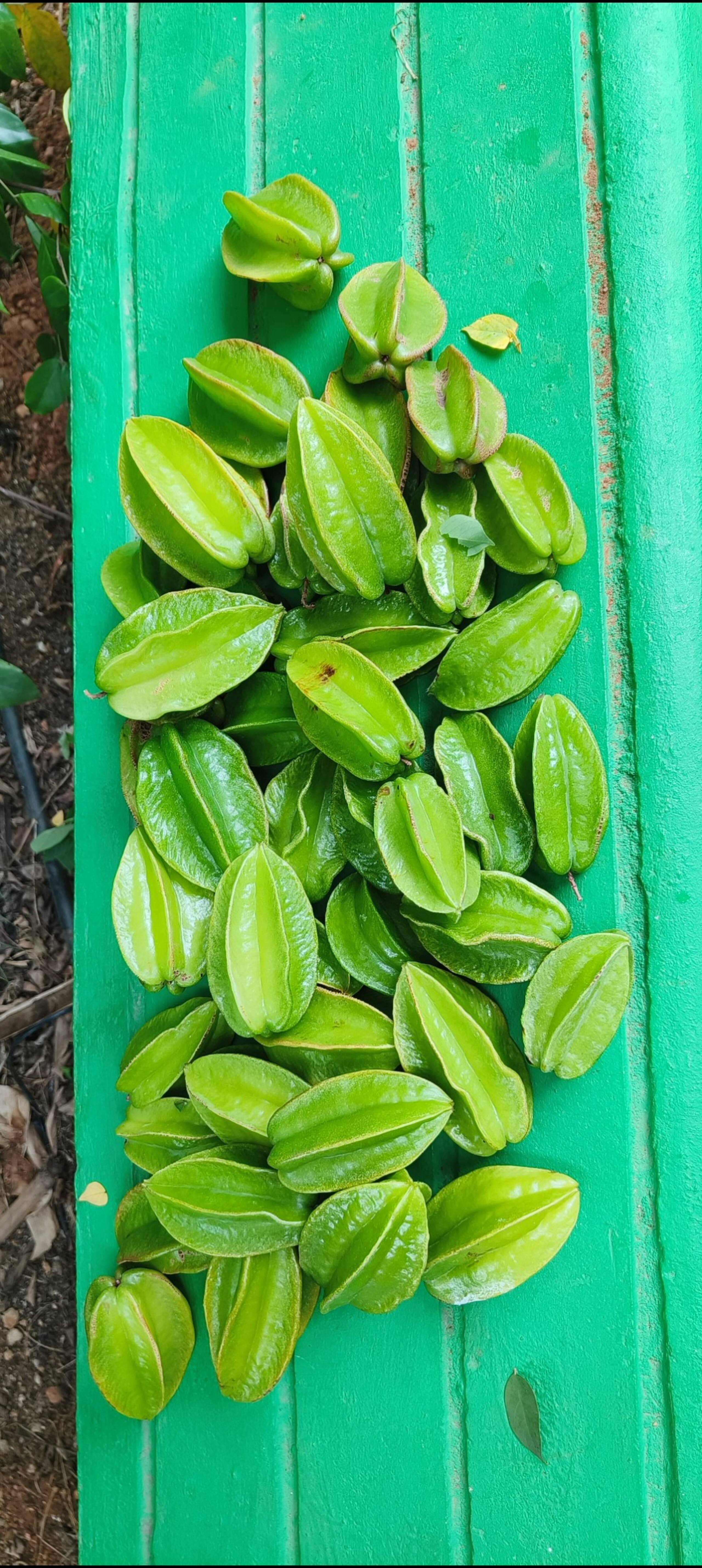 Tapovan 18