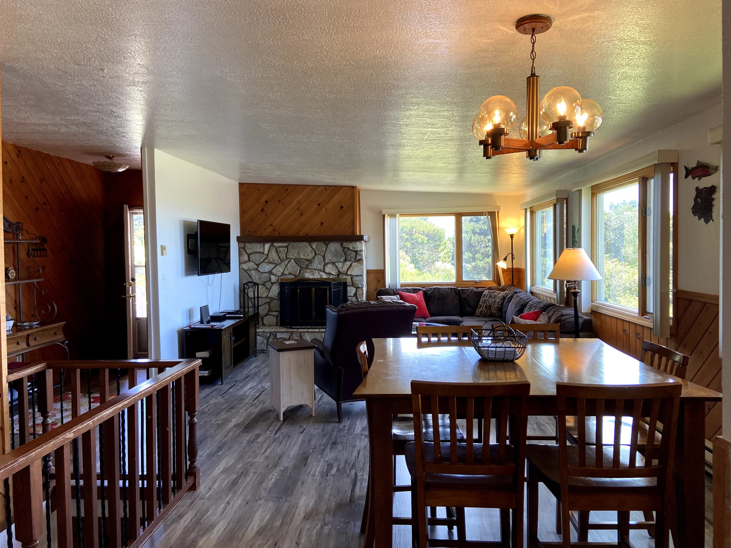 Cape Rogue 18