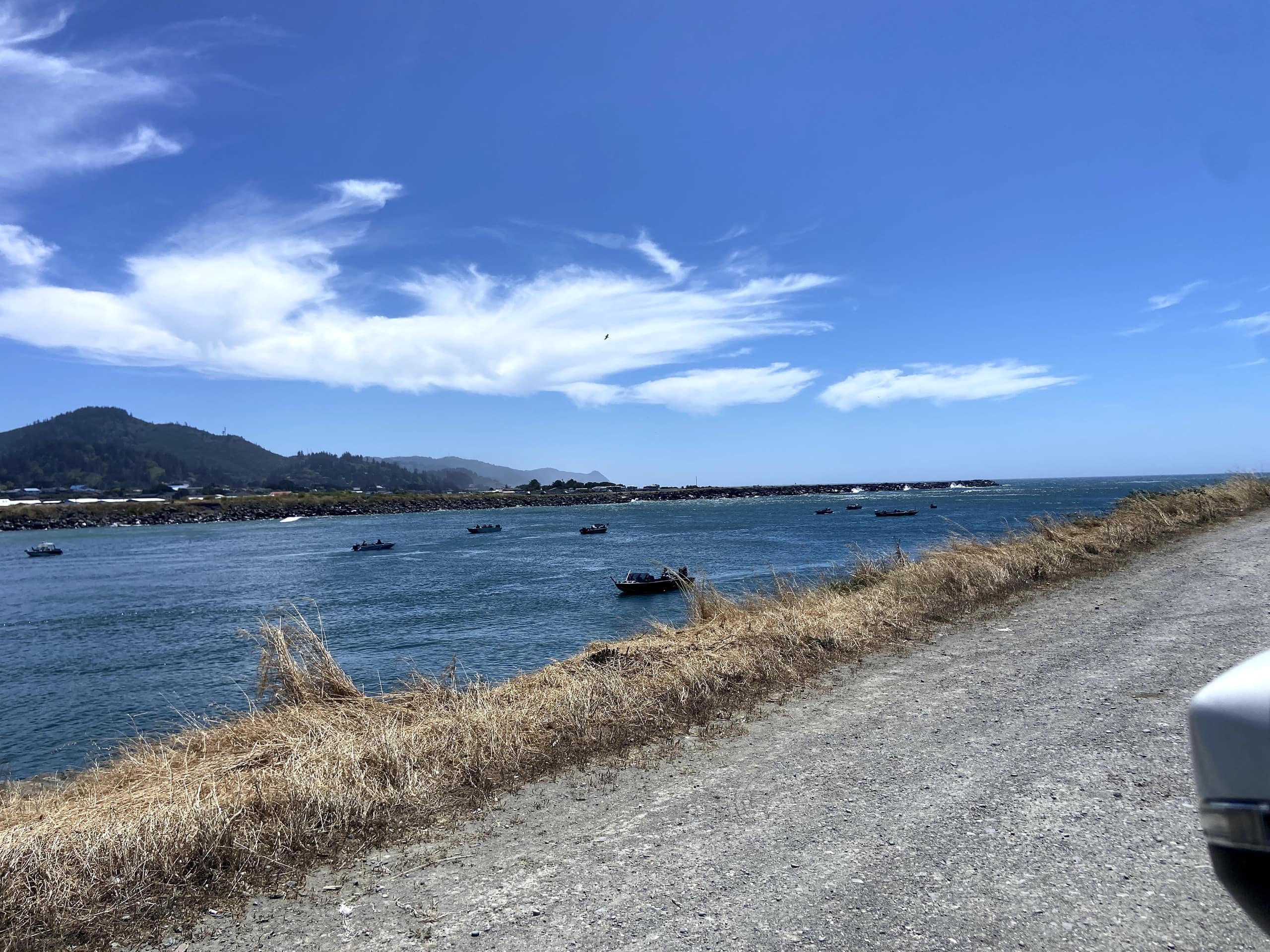 Cape Rogue 20