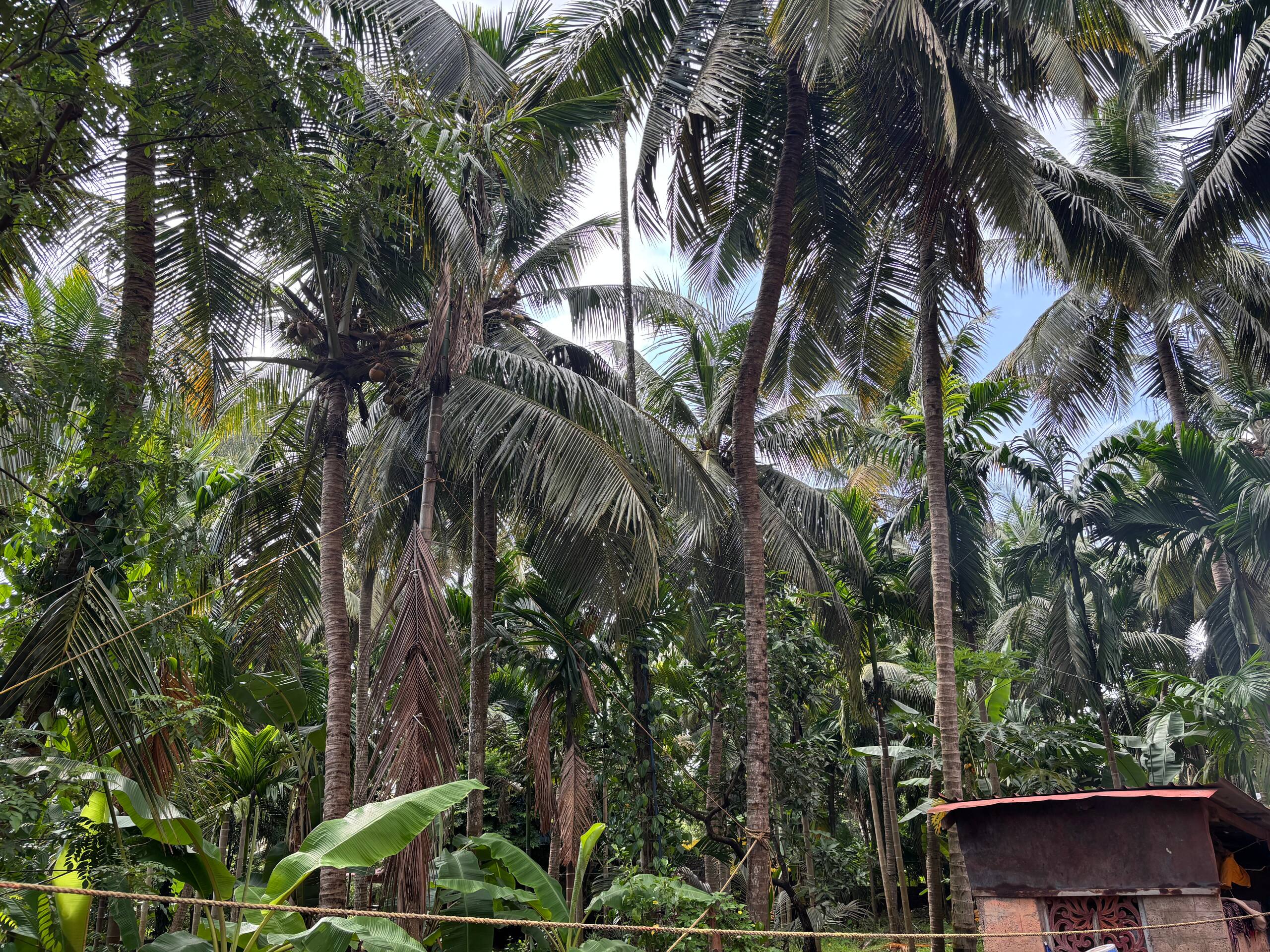 Kaveri Home Stay Backwaters Beach Boating 30