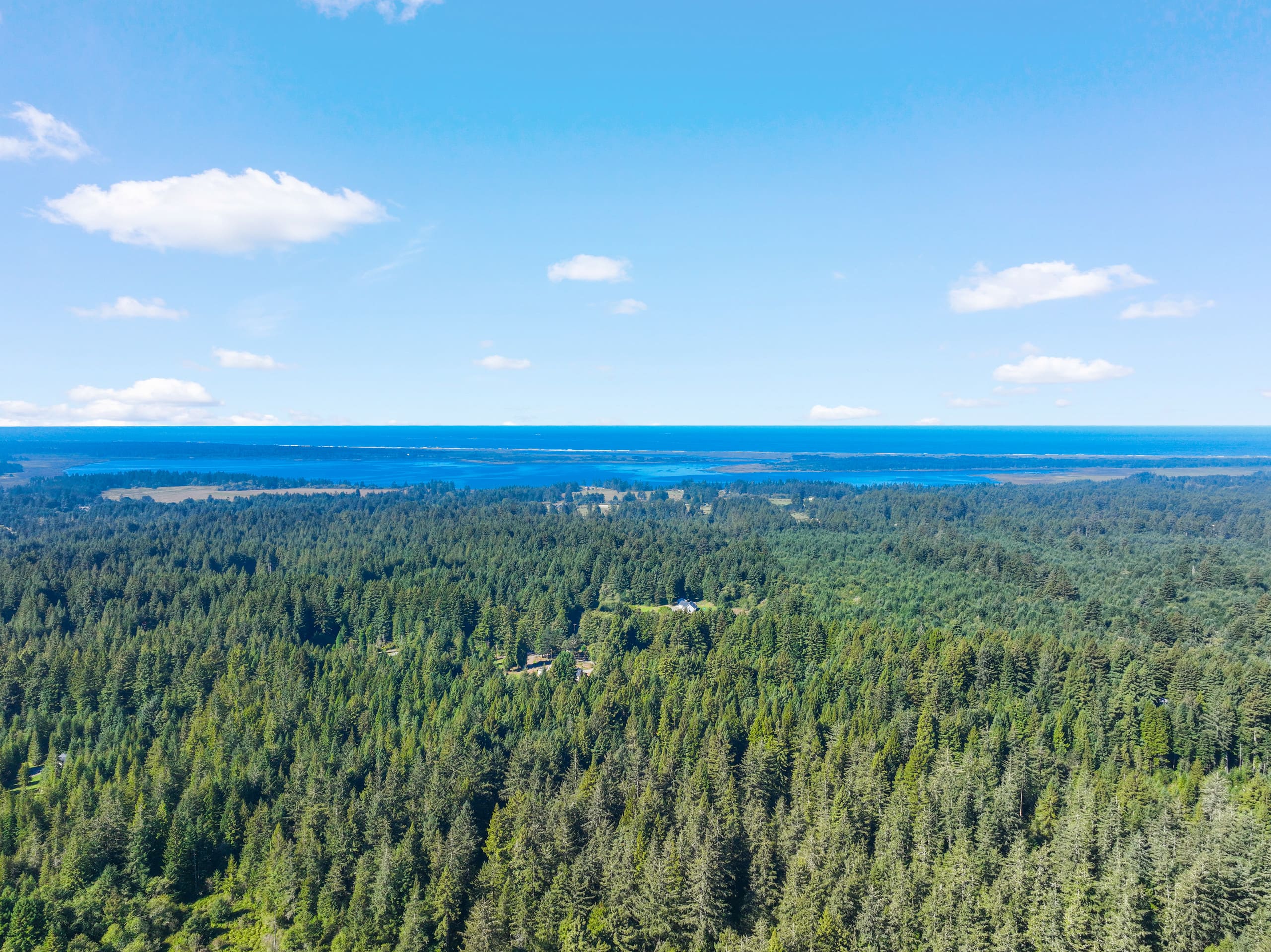 Jedidiah Smith Redwoods retreat with ocean view 29