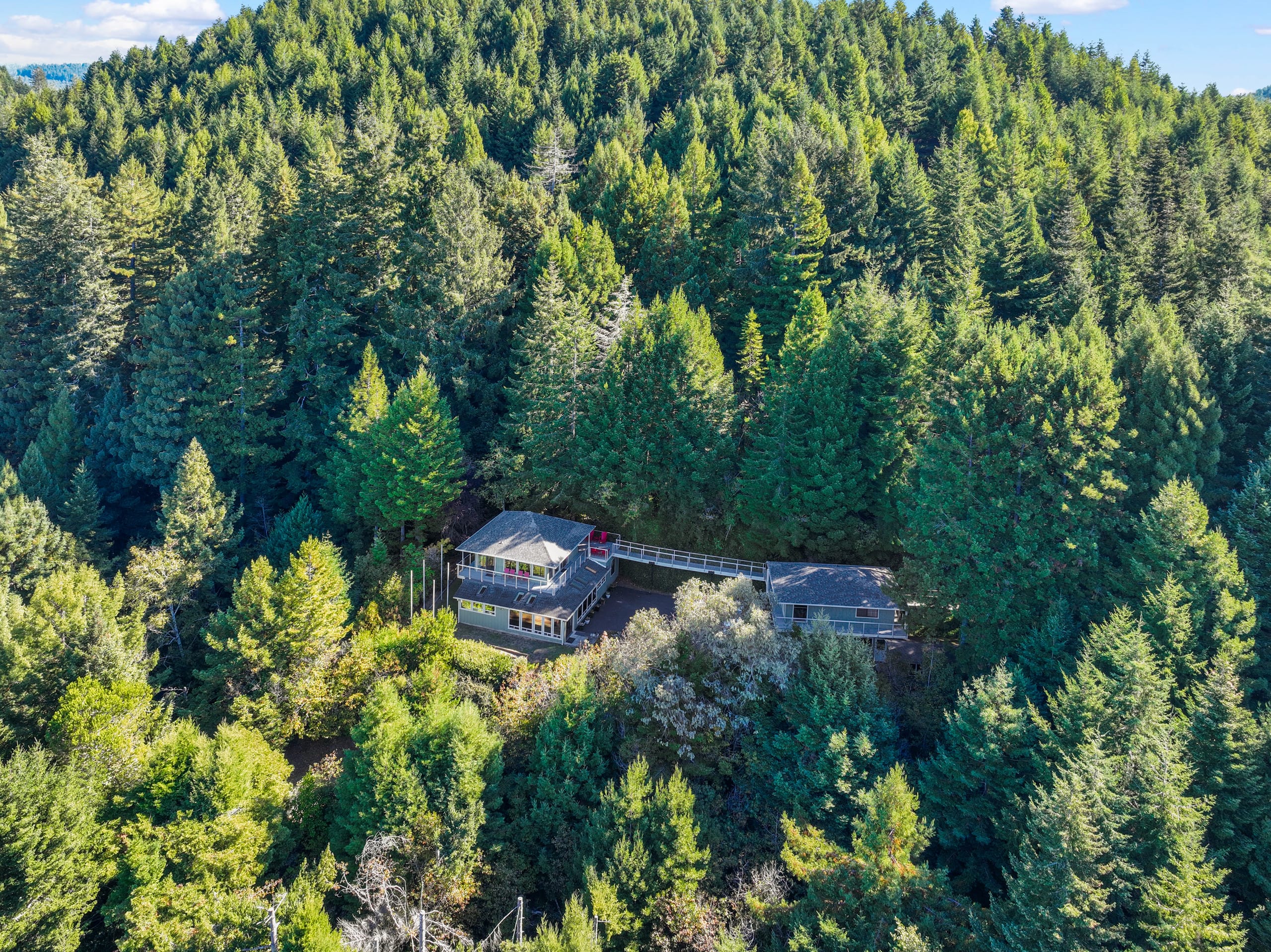 Jedidiah Smith Redwoods retreat with ocean view — photo 2
