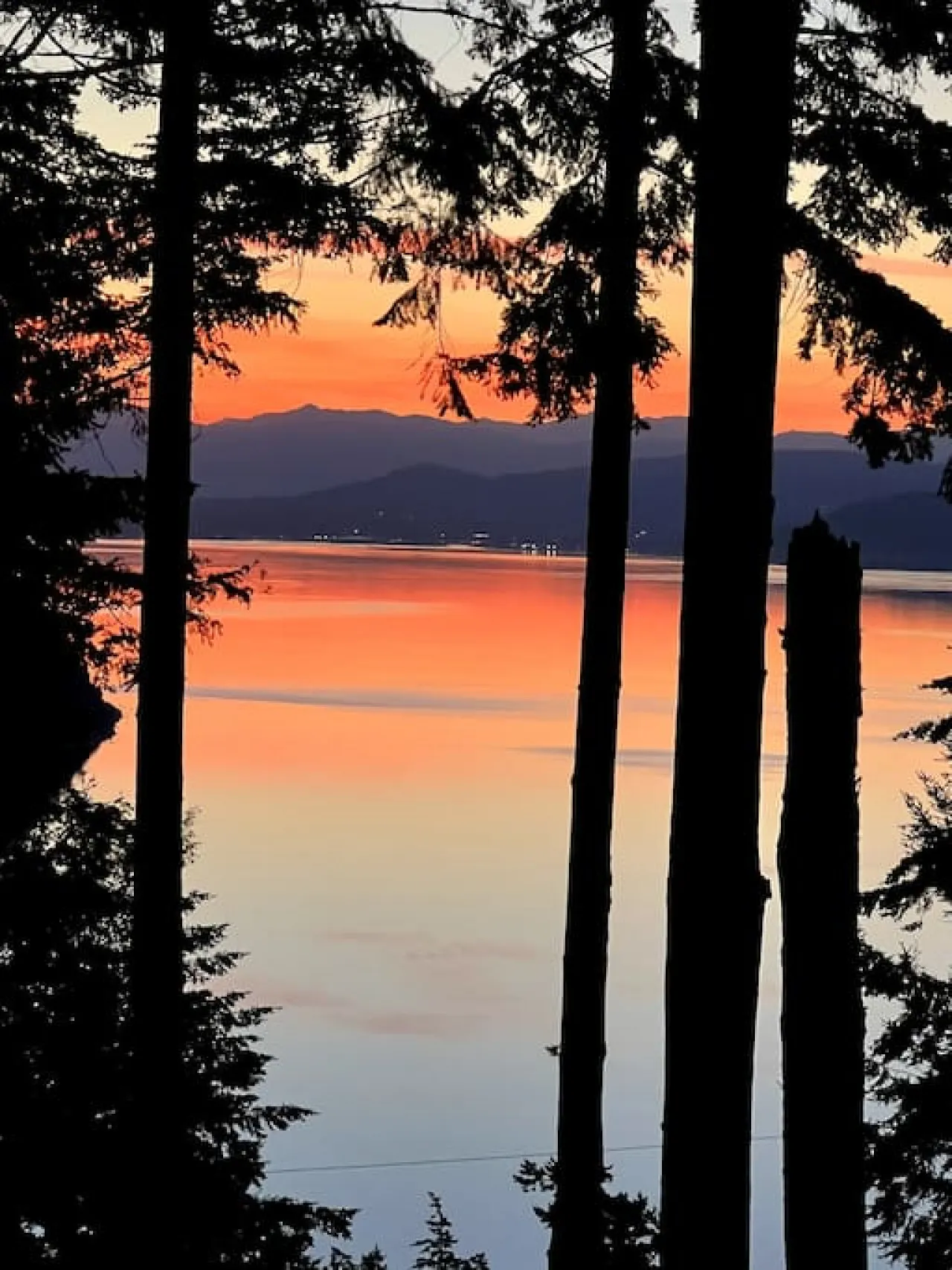 Lakeside Cabin in the Trees with Views & a Hot Tub 13