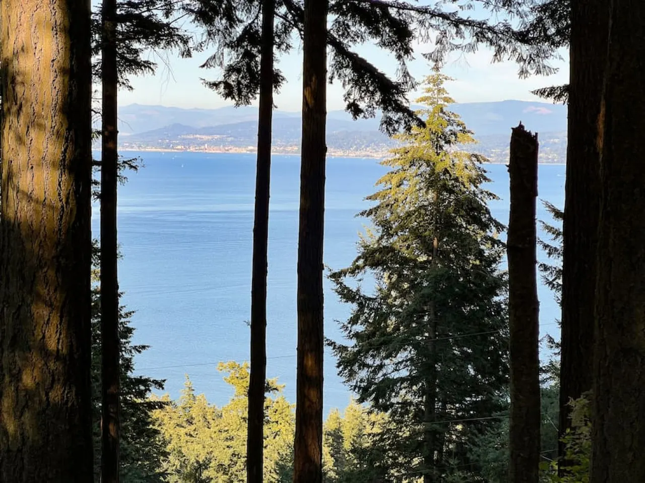 Lakeside Cabin in the Trees with Views & a Hot Tub — photo 4