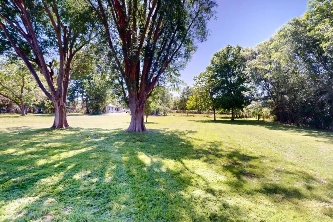 Bluebonnet Bungalow | Downtown Navasota