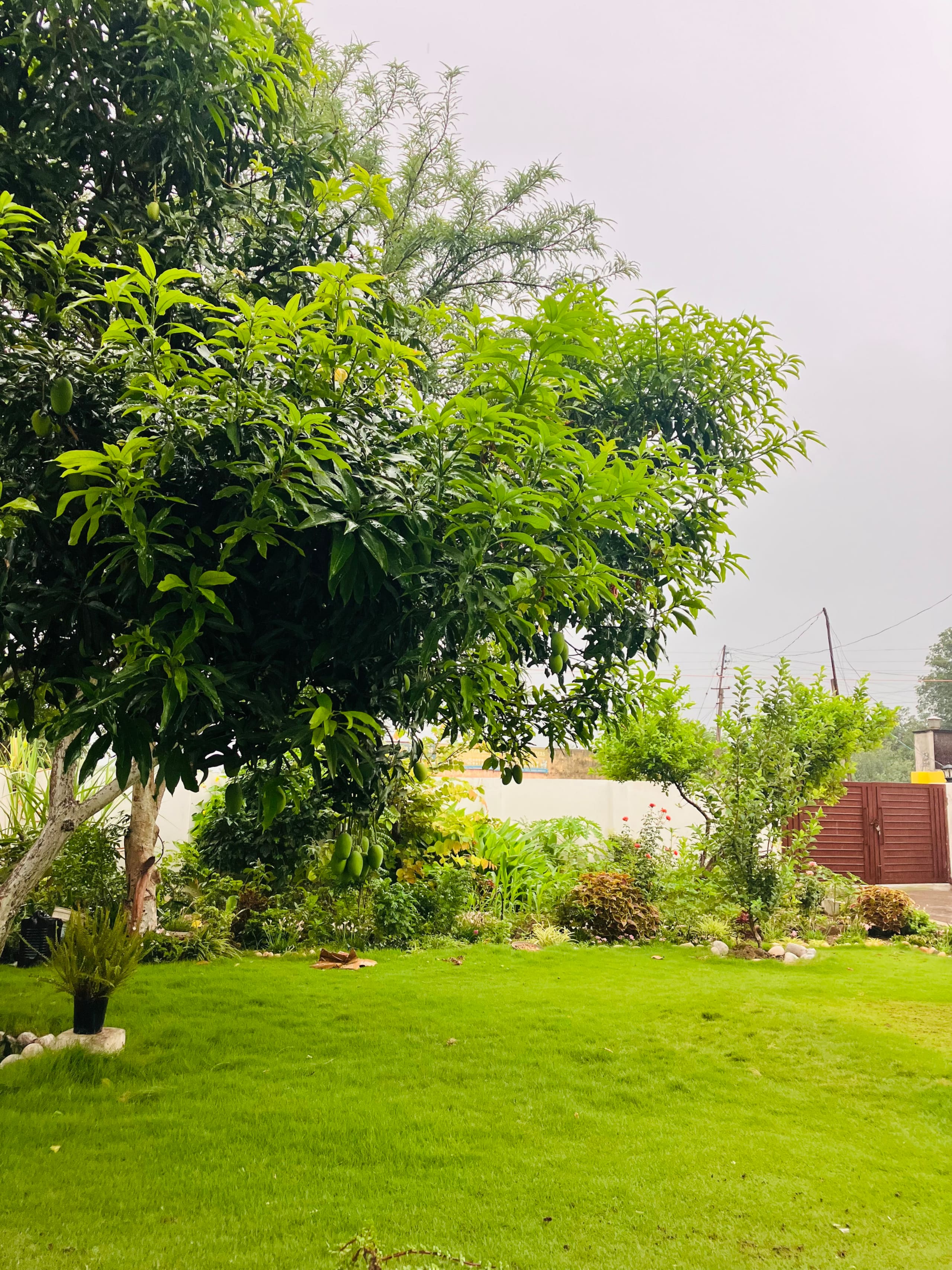 Mankotia Farmhouse (Pushpavanam) 16
